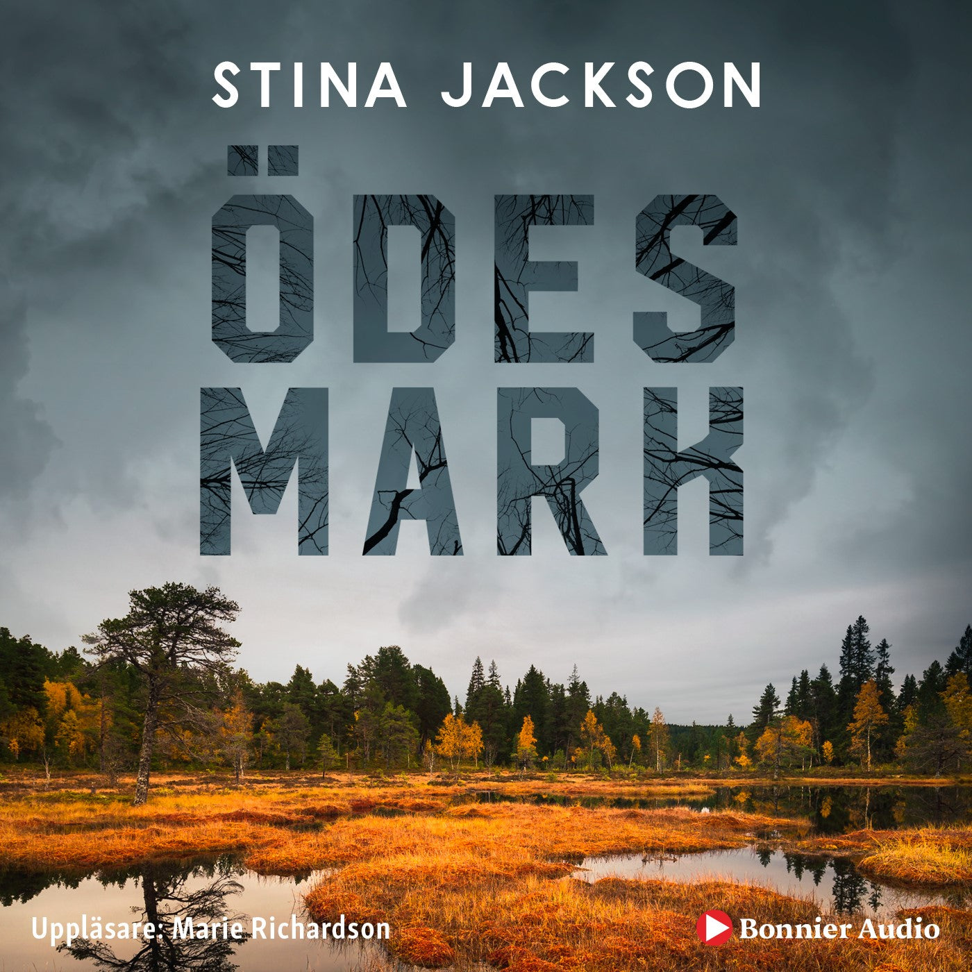 Ödesmark – Ljudbok