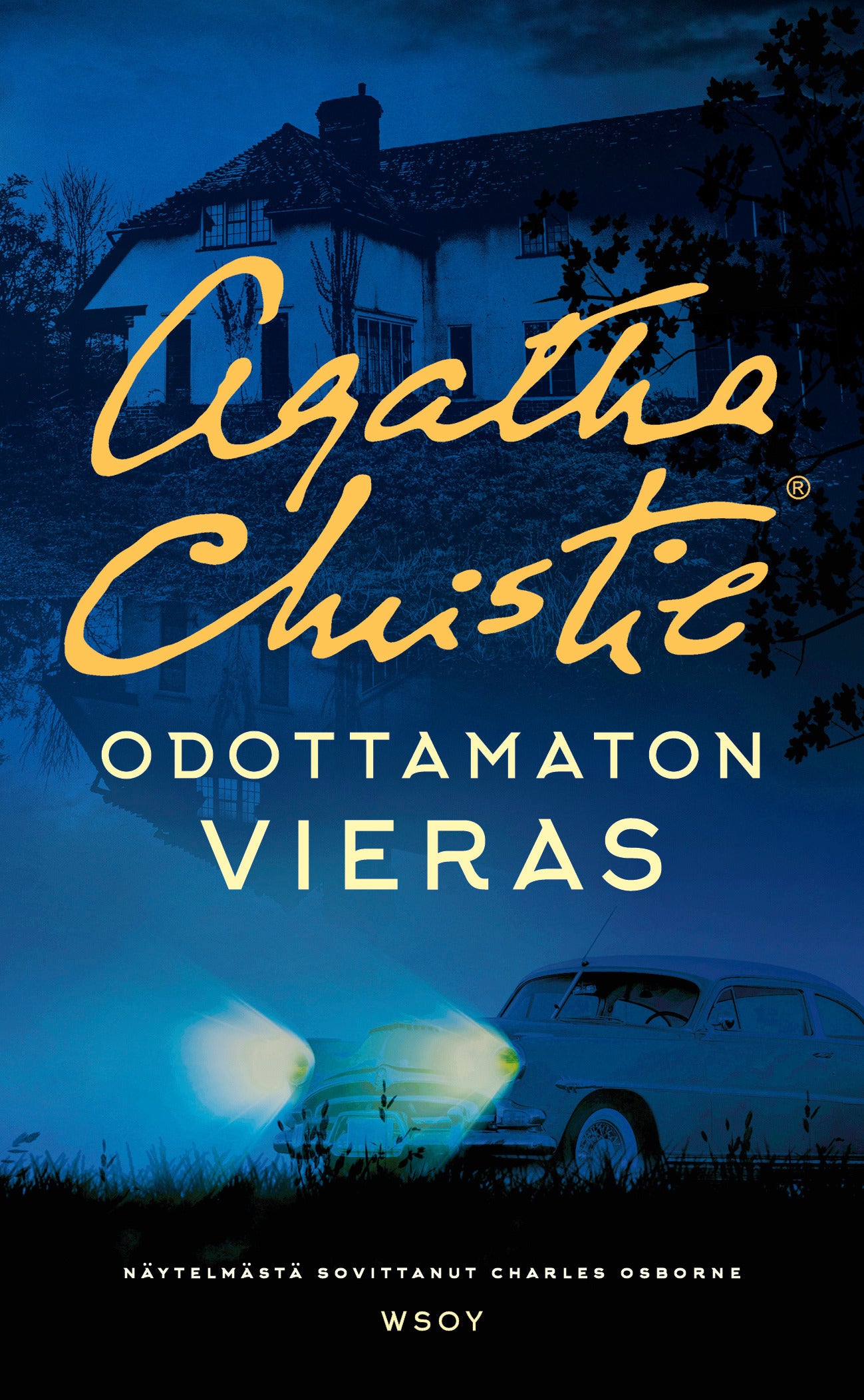 Odottamaton vieras – E-bok