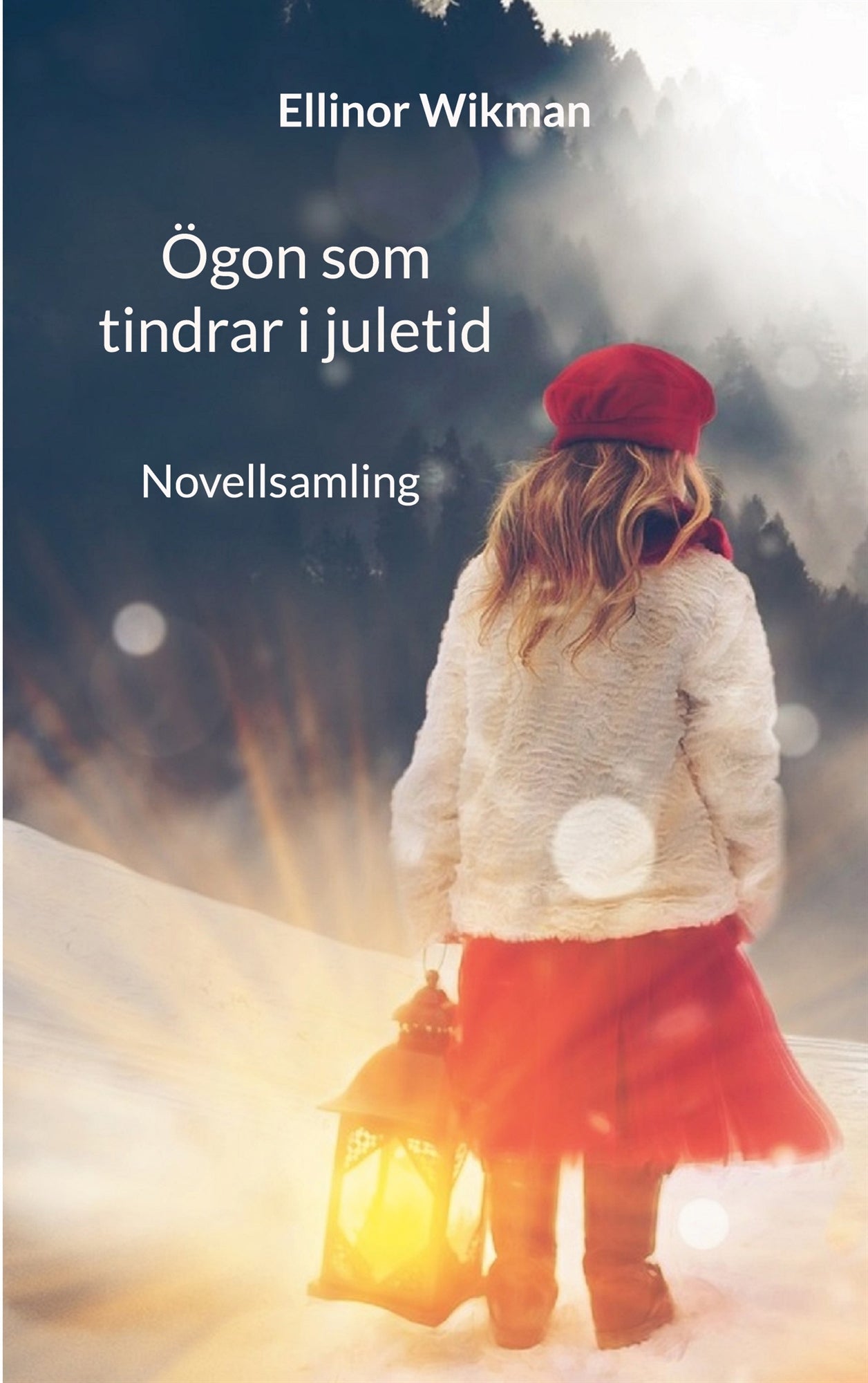 Ögon som tindrar i juletid: Novellsamling – E-bok