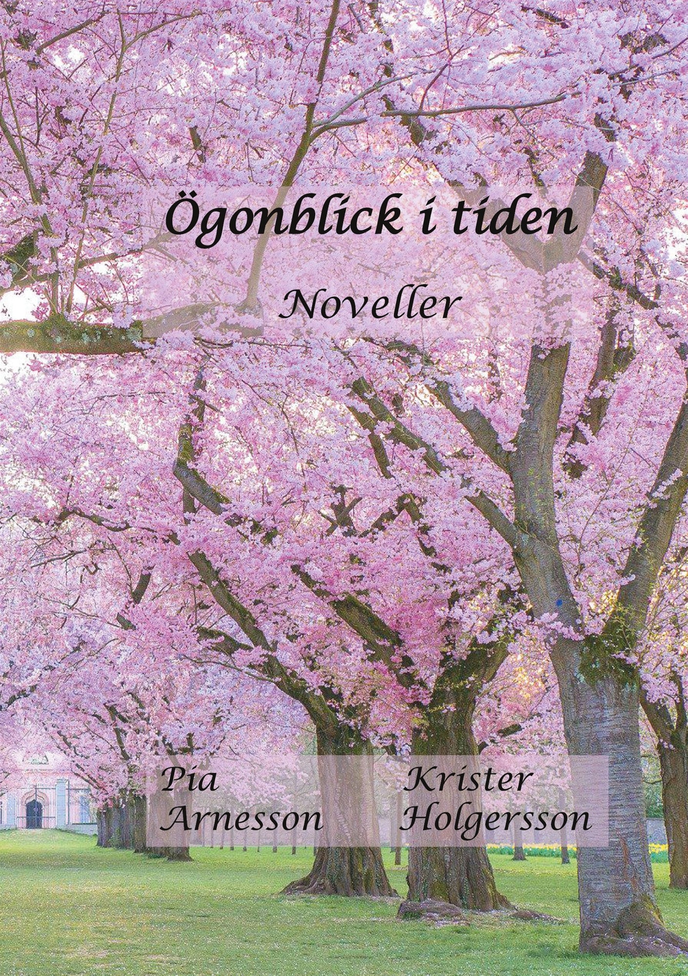 Ögonblick i tiden: Noveller – E-bok