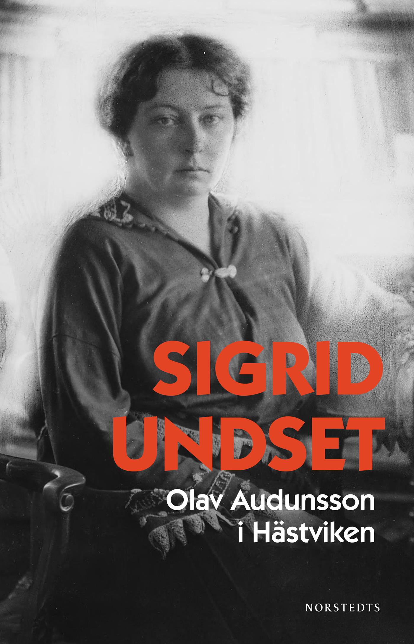 Olav Audunsson i Hästviken – E-bok