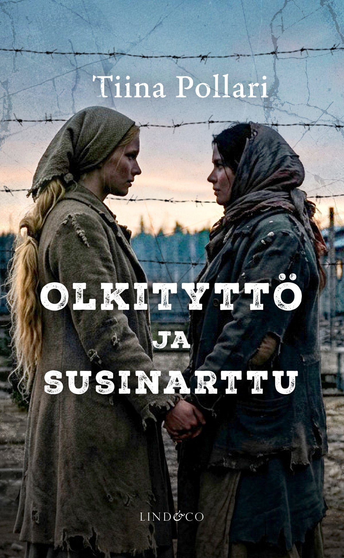 Olkityttö ja susinarttu – E-bok