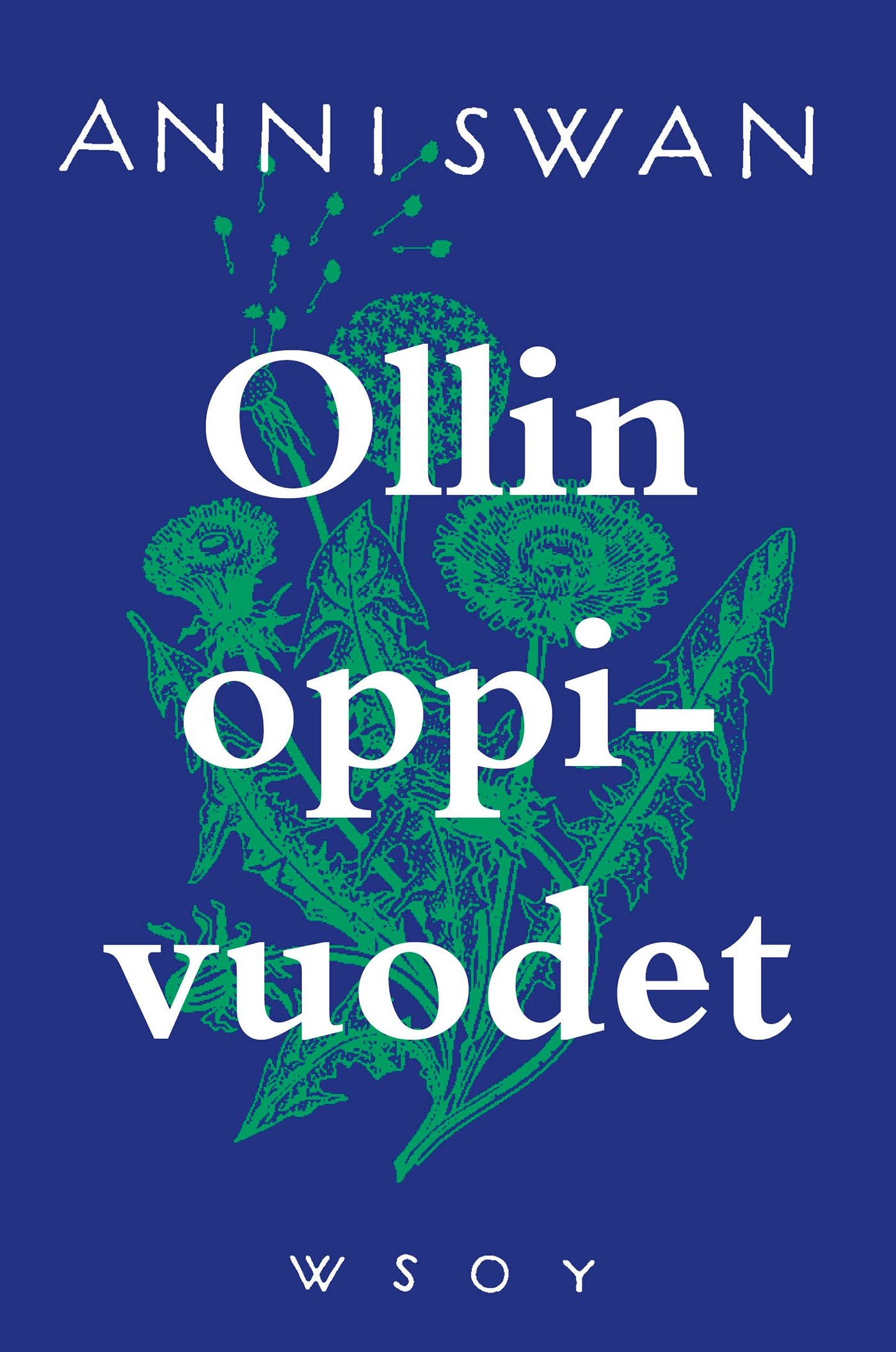 Ollin oppivuodet – E-bok