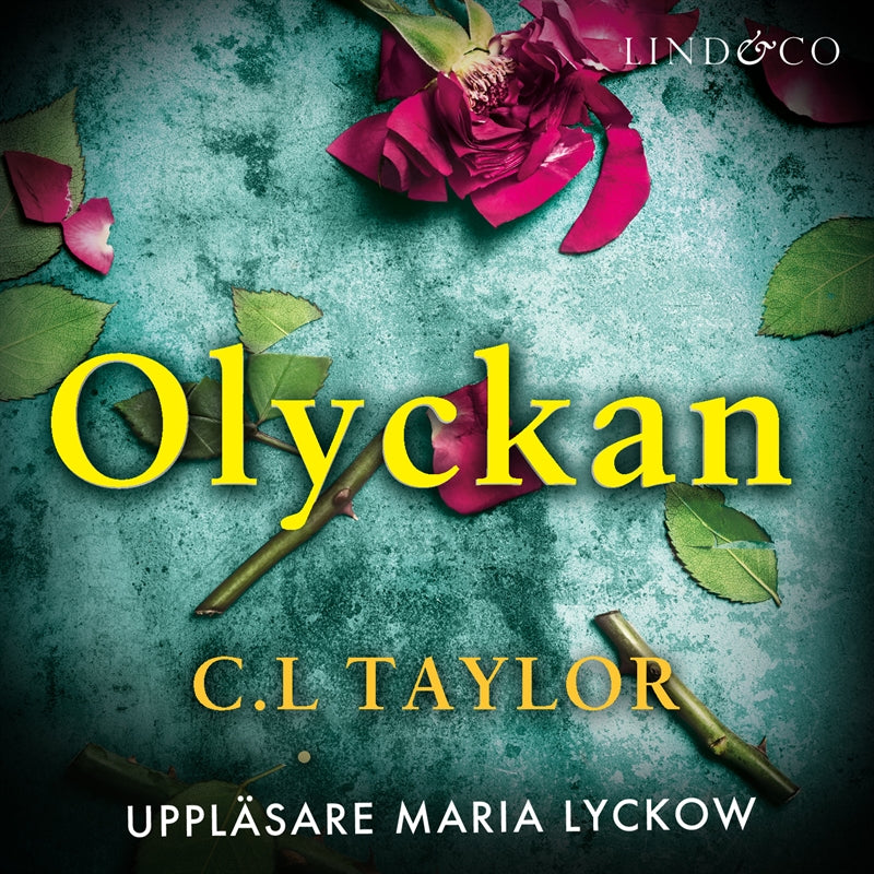 Olyckan – Ljudbok