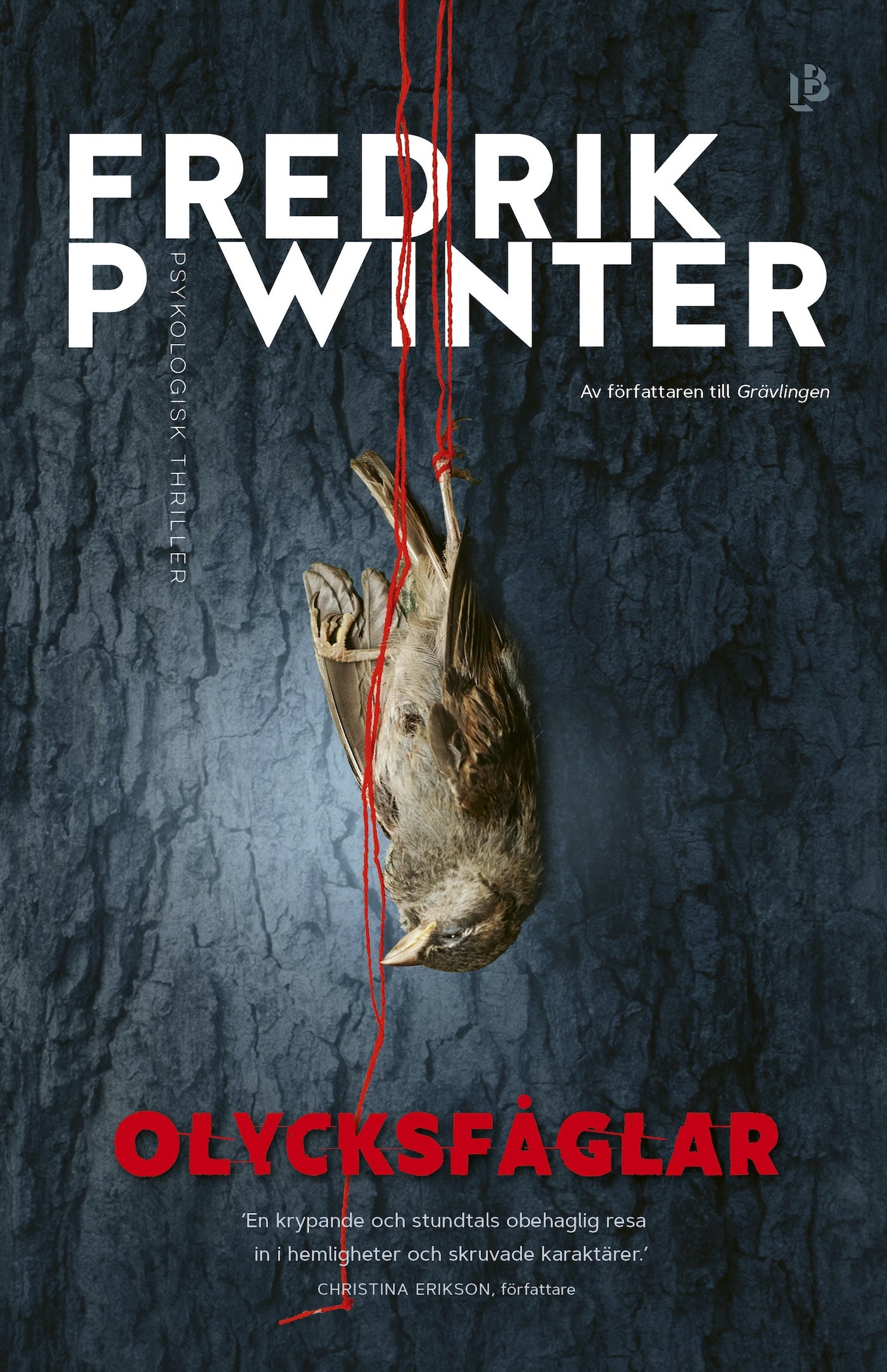 Olycksfåglar – E-bok