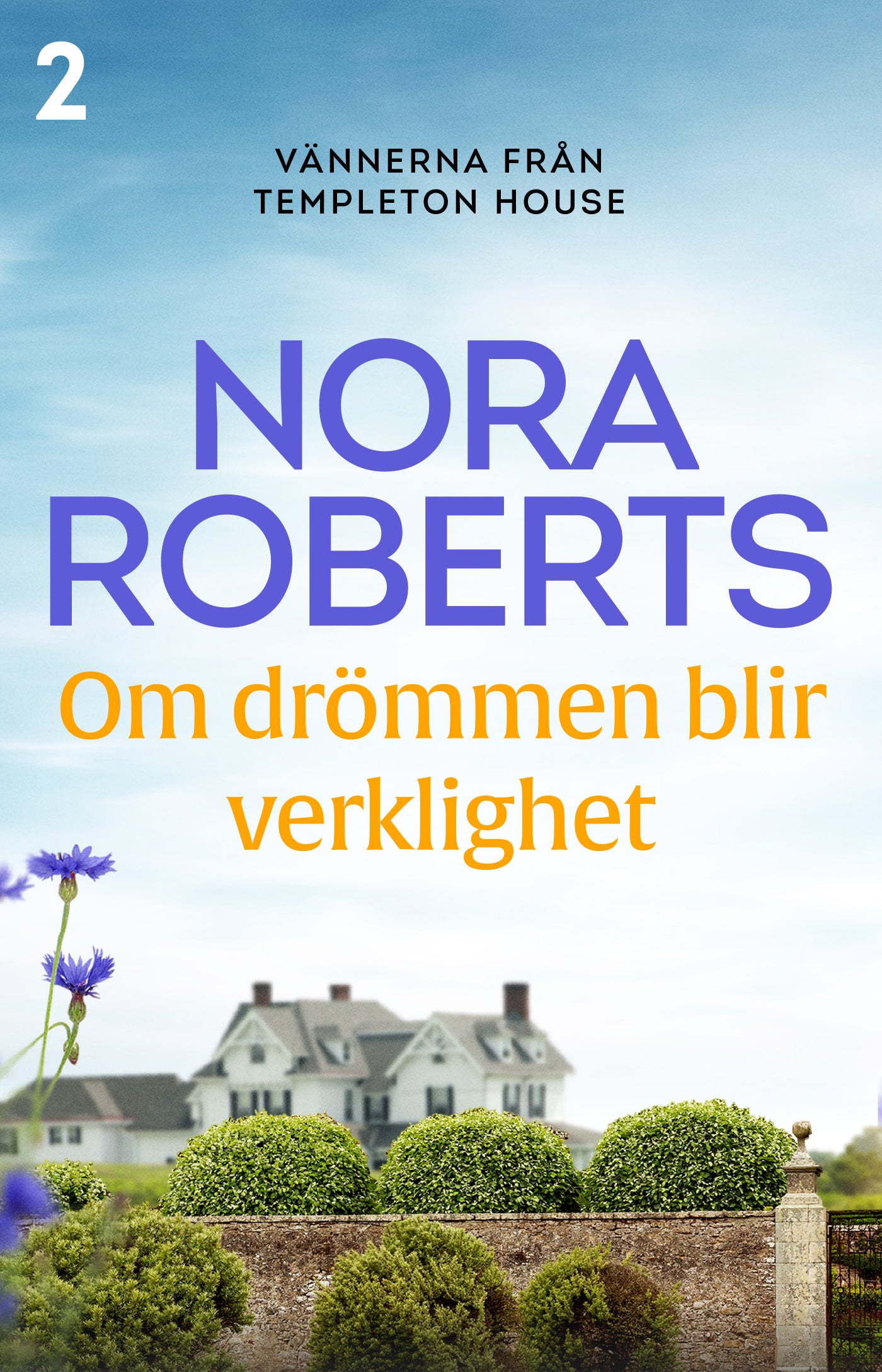 Om drömmen blir verklighet – E-bok