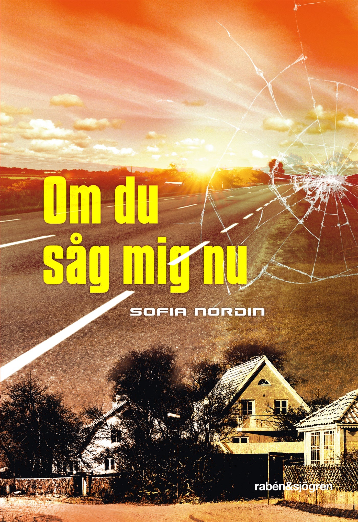 Om du såg mig nu – E-bok
