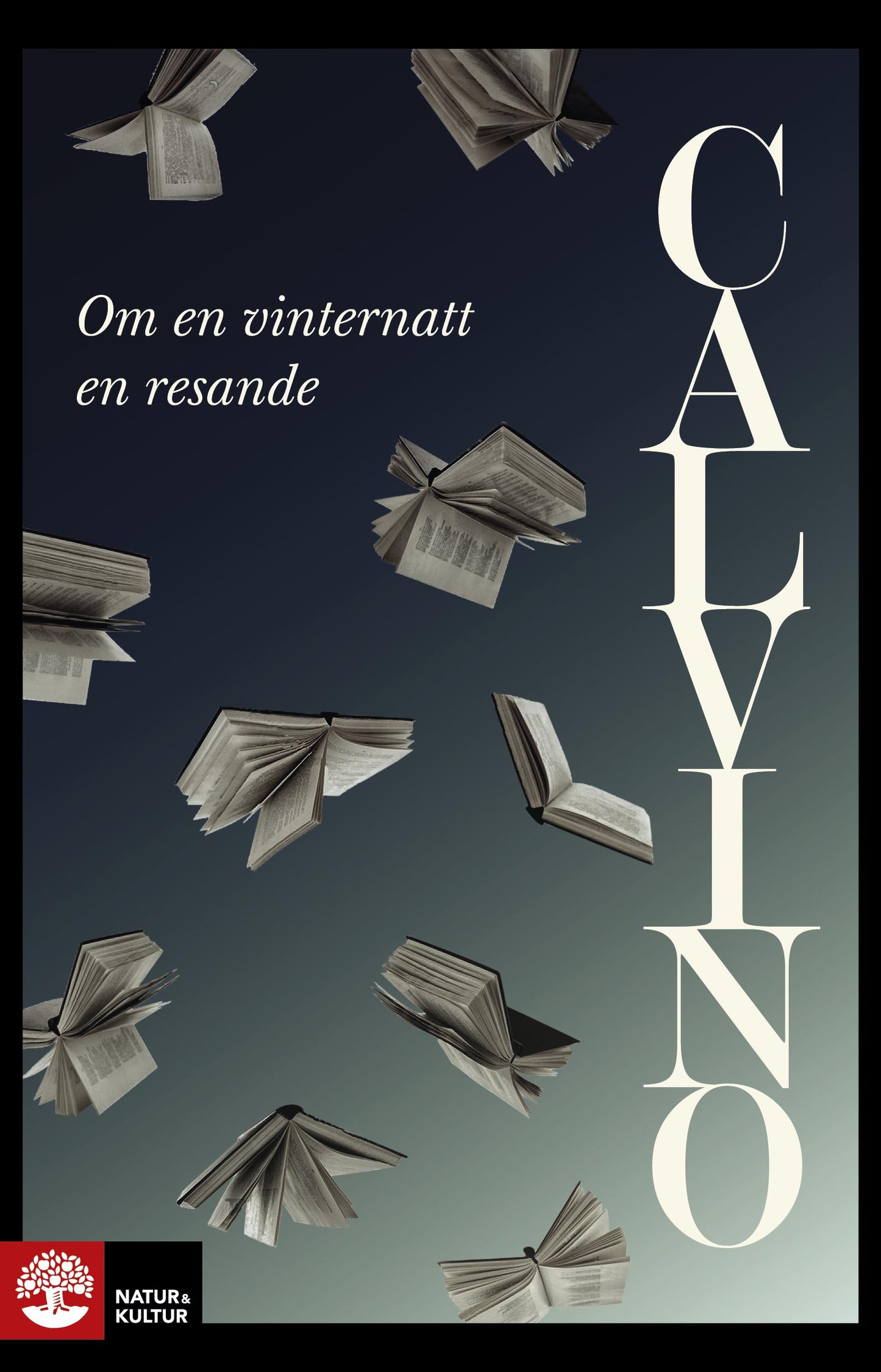 Om en vinternatt en resande – E-bok