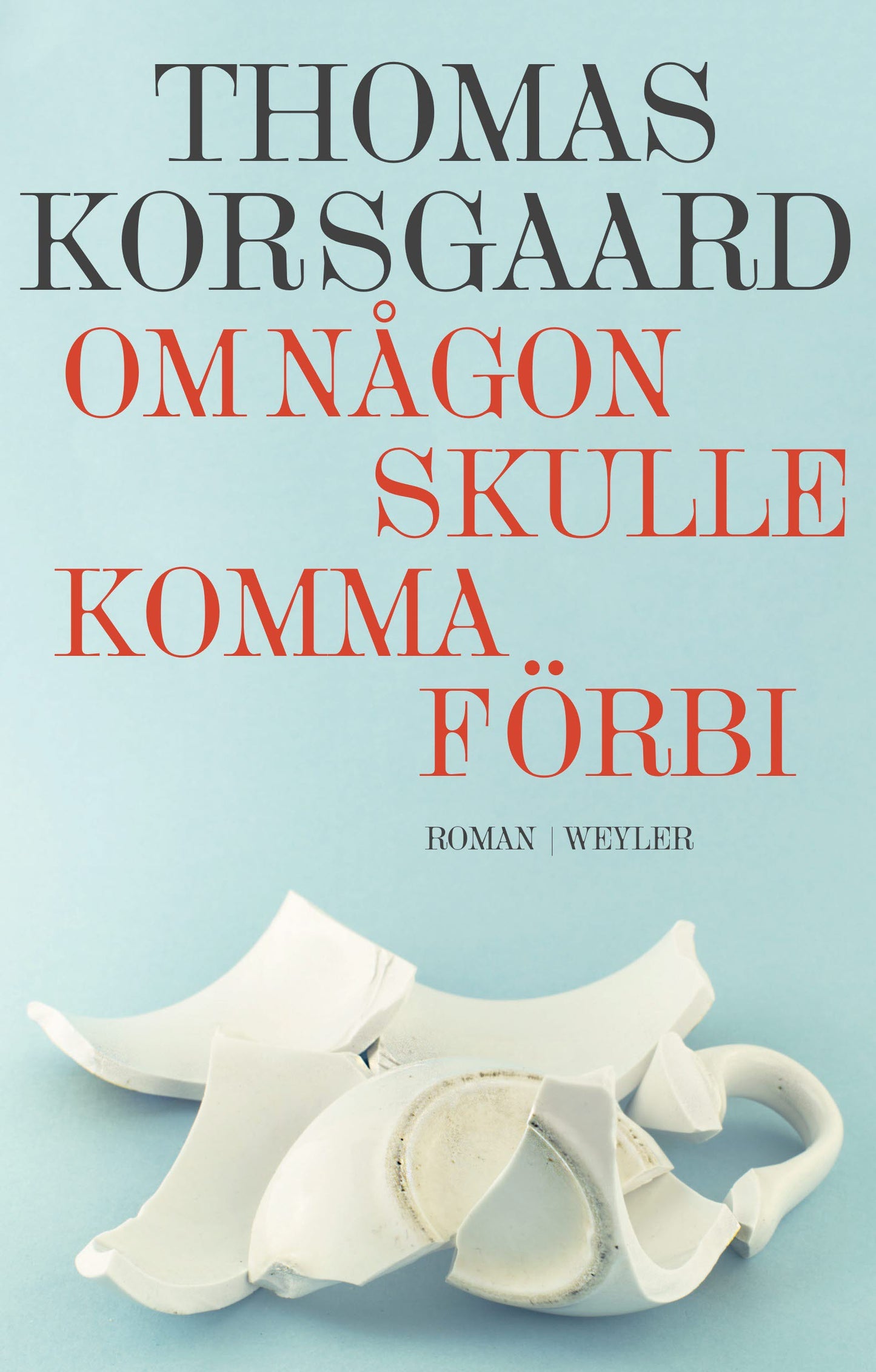 Om någon skulle komma förbi – E-bok