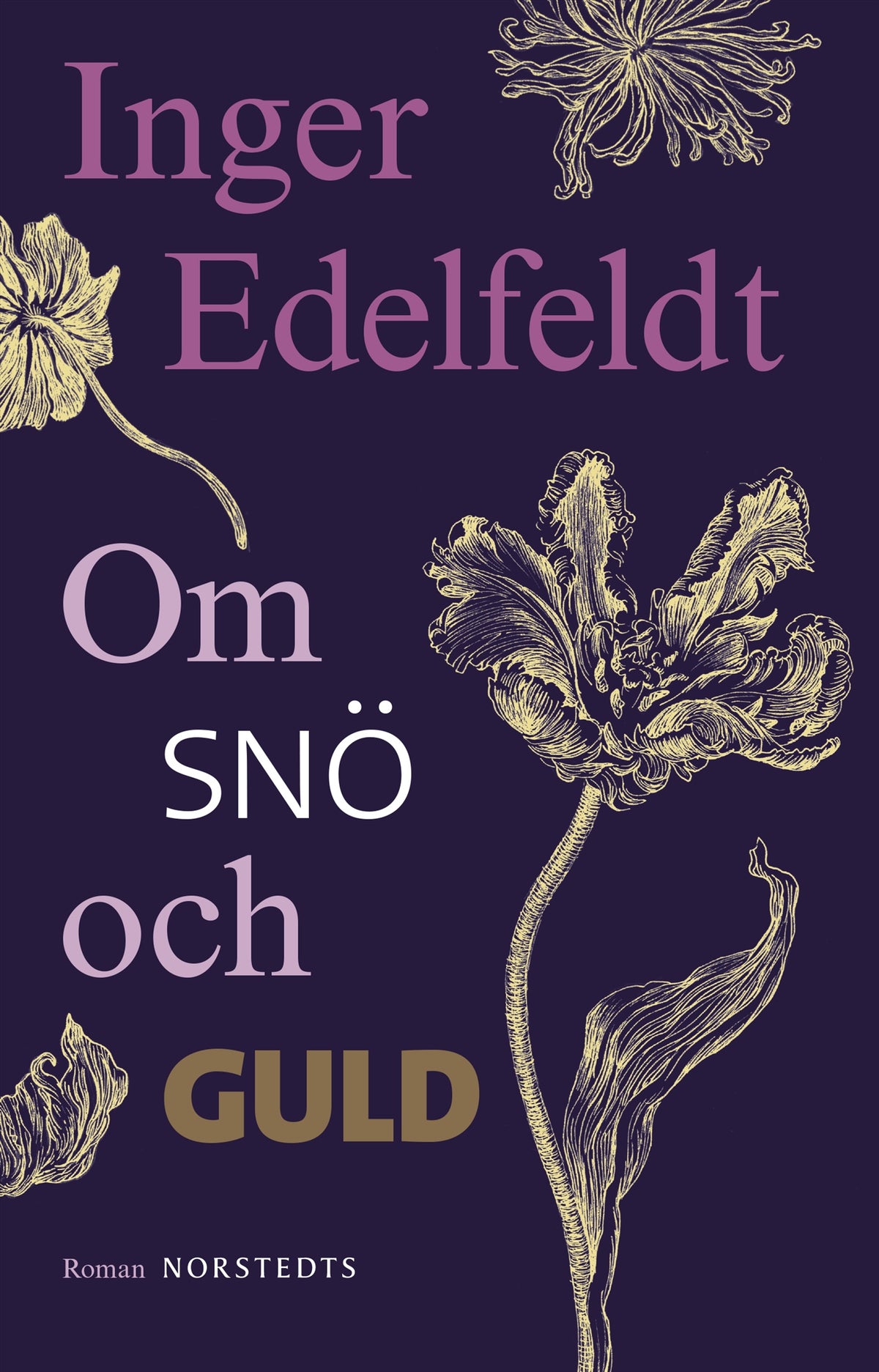Om snö och guld – E-bok