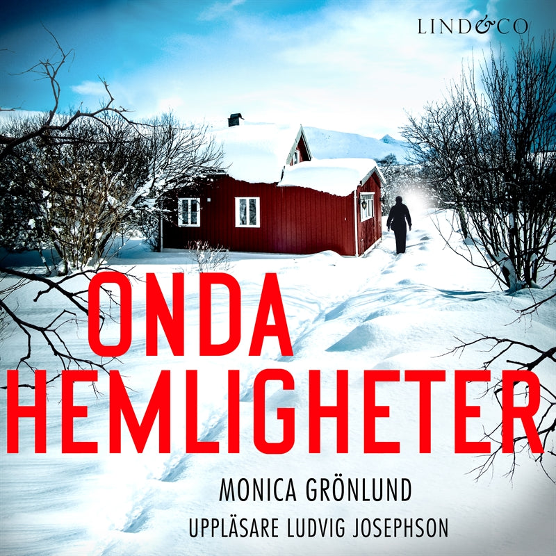 Onda hemligheter – Ljudbok