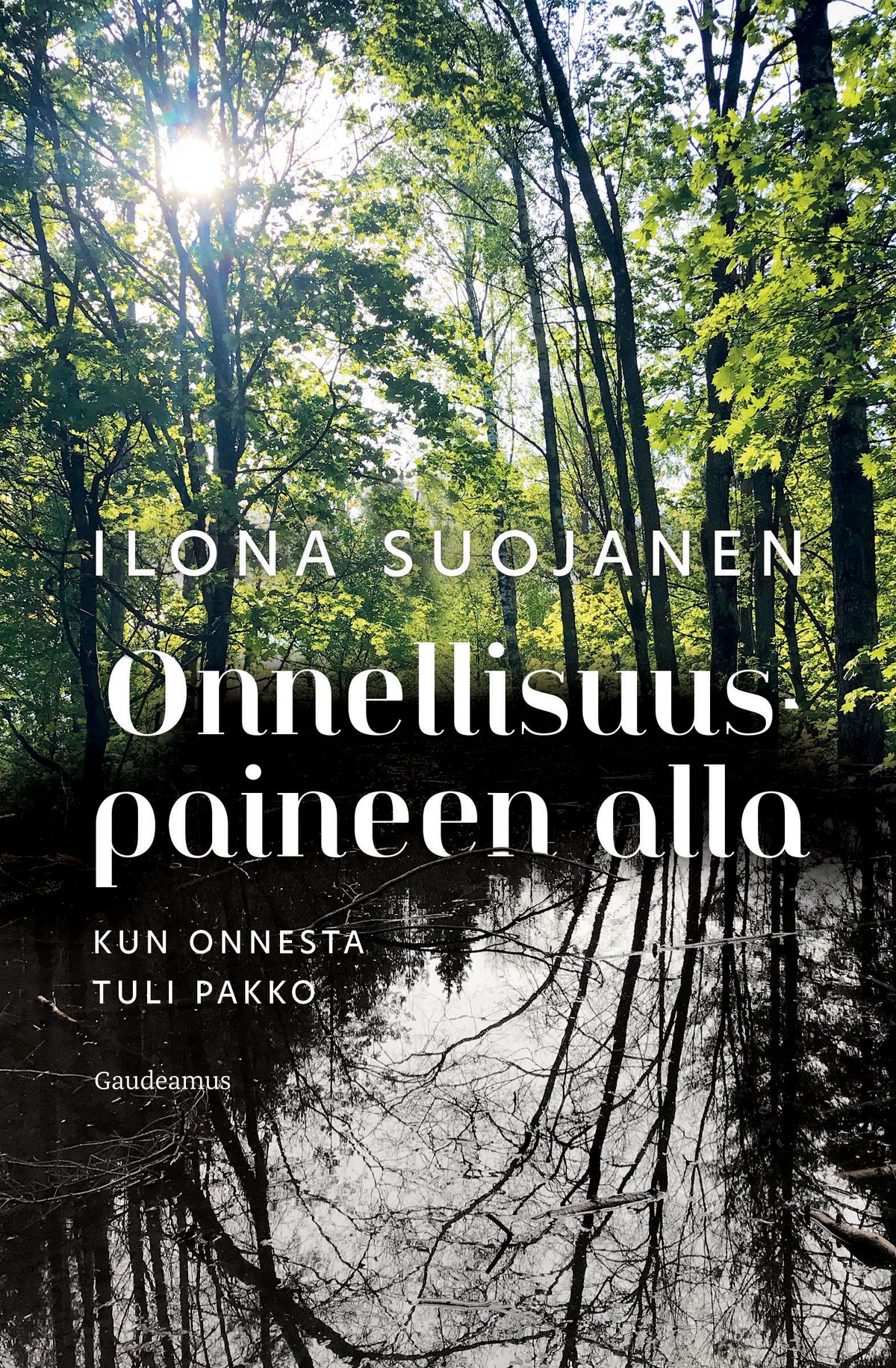Onnellisuuspaineen alla – E-bok