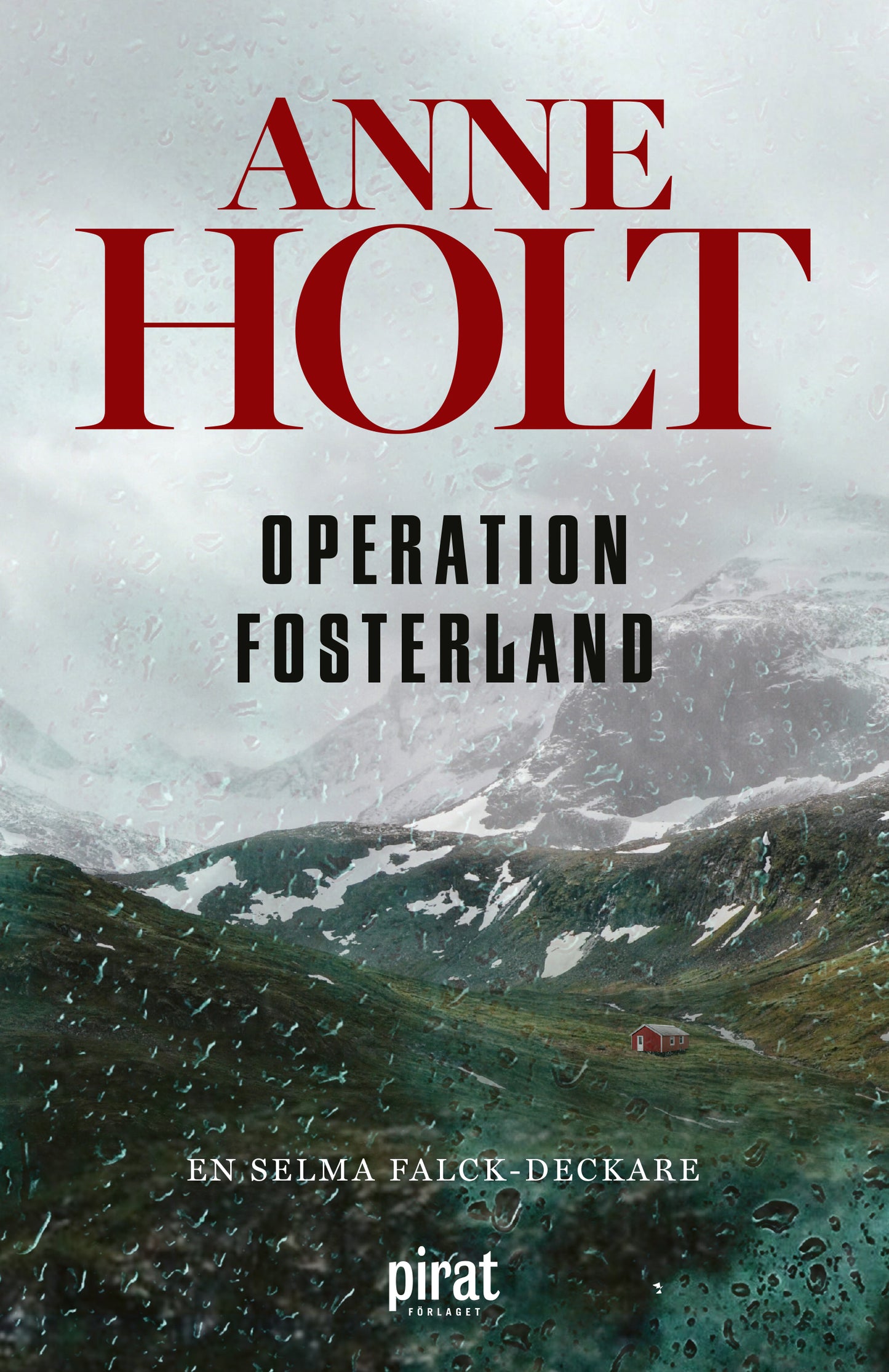 Operation fosterland – E-bok