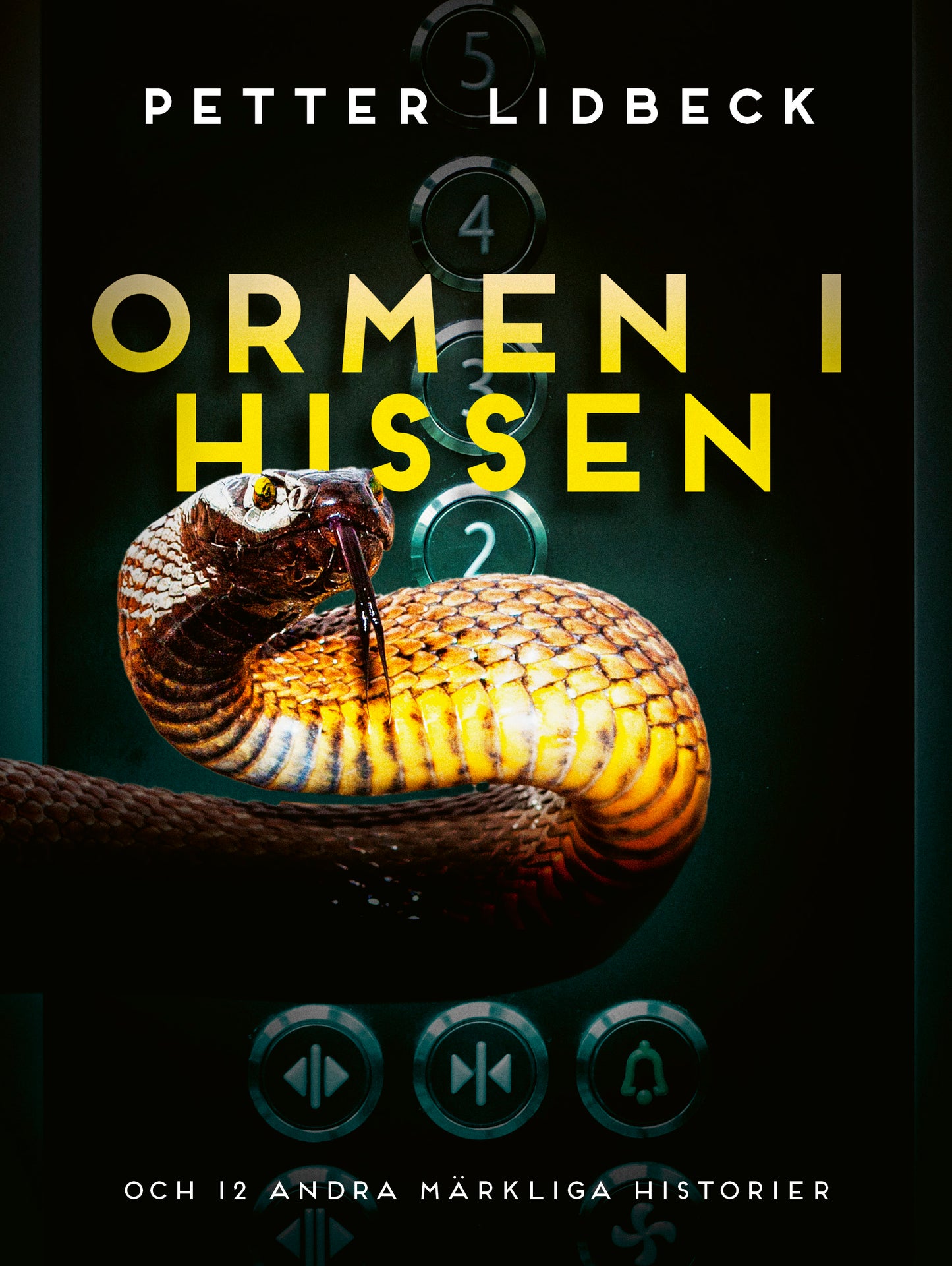 Ormen i hissen och 12 andra märkliga historier – E-bok