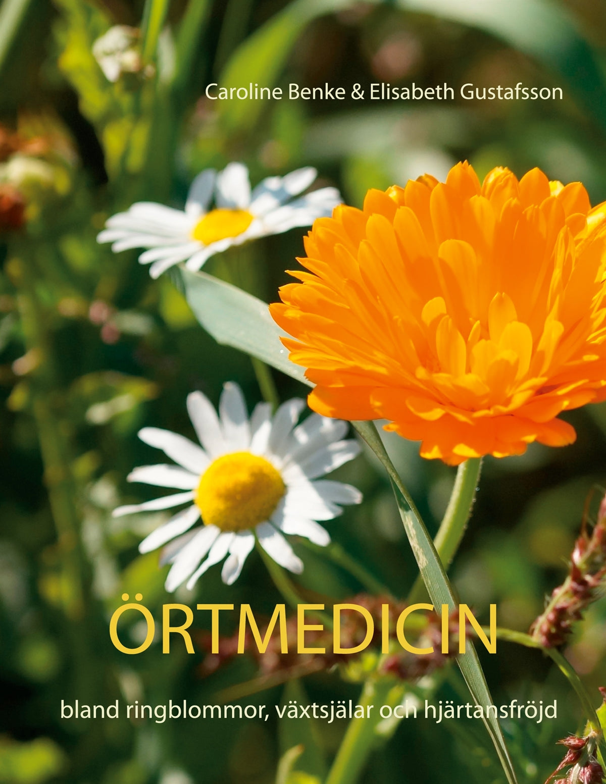 Örtmedicin- bland ringblommor, växtsjälar och hjärtansfröjd – E-bok
