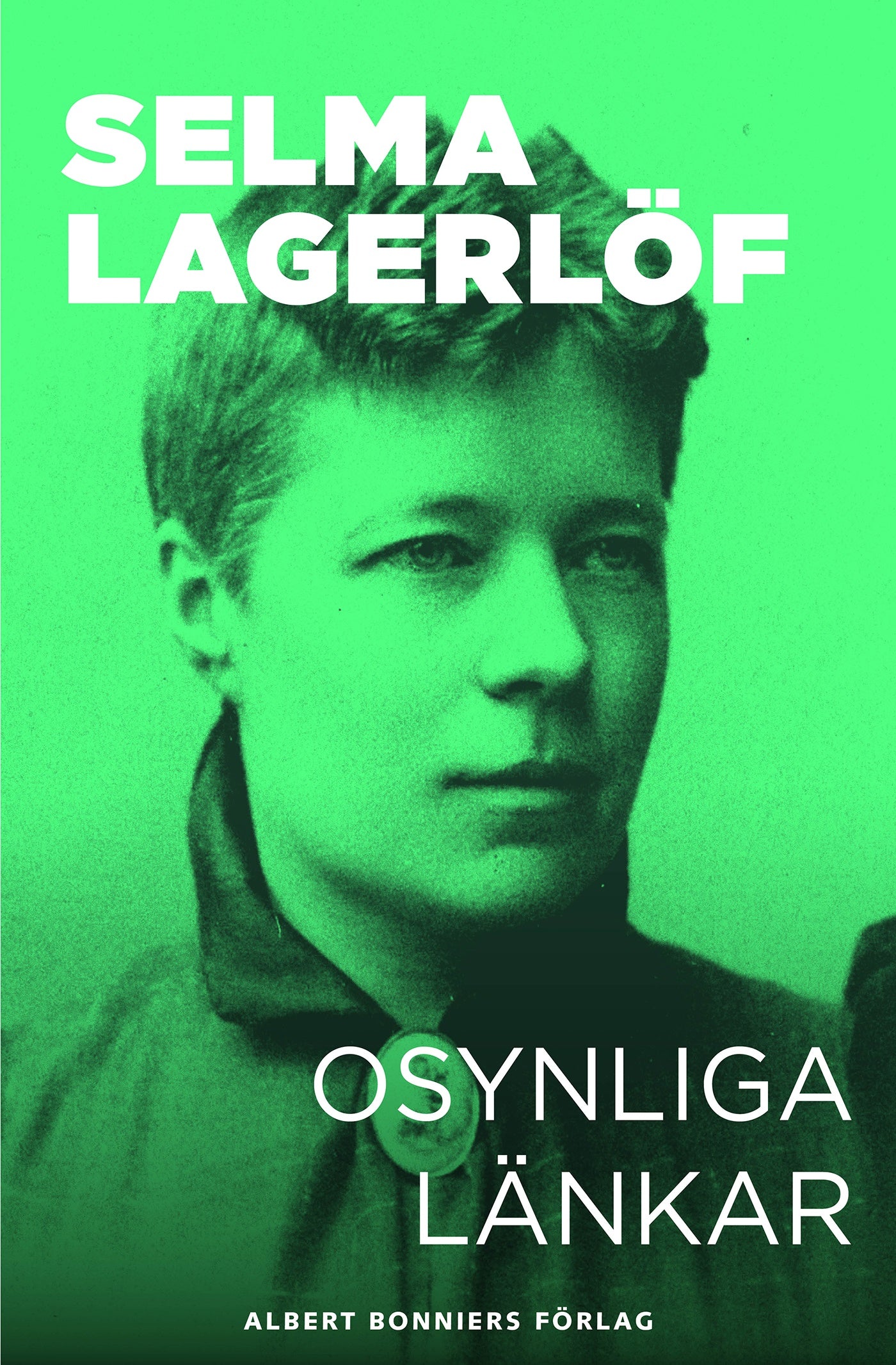 Osynliga länkar : berättelser – E-bok