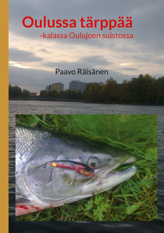 Oulussa tärppää: -kalassa Oulujoen suistossa – E-bok