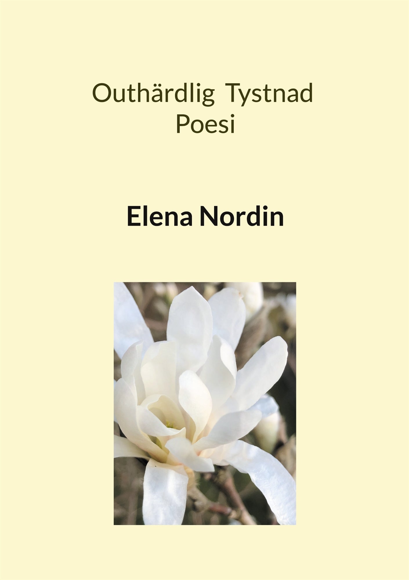 Outhärdlig Tystnad – E-bok