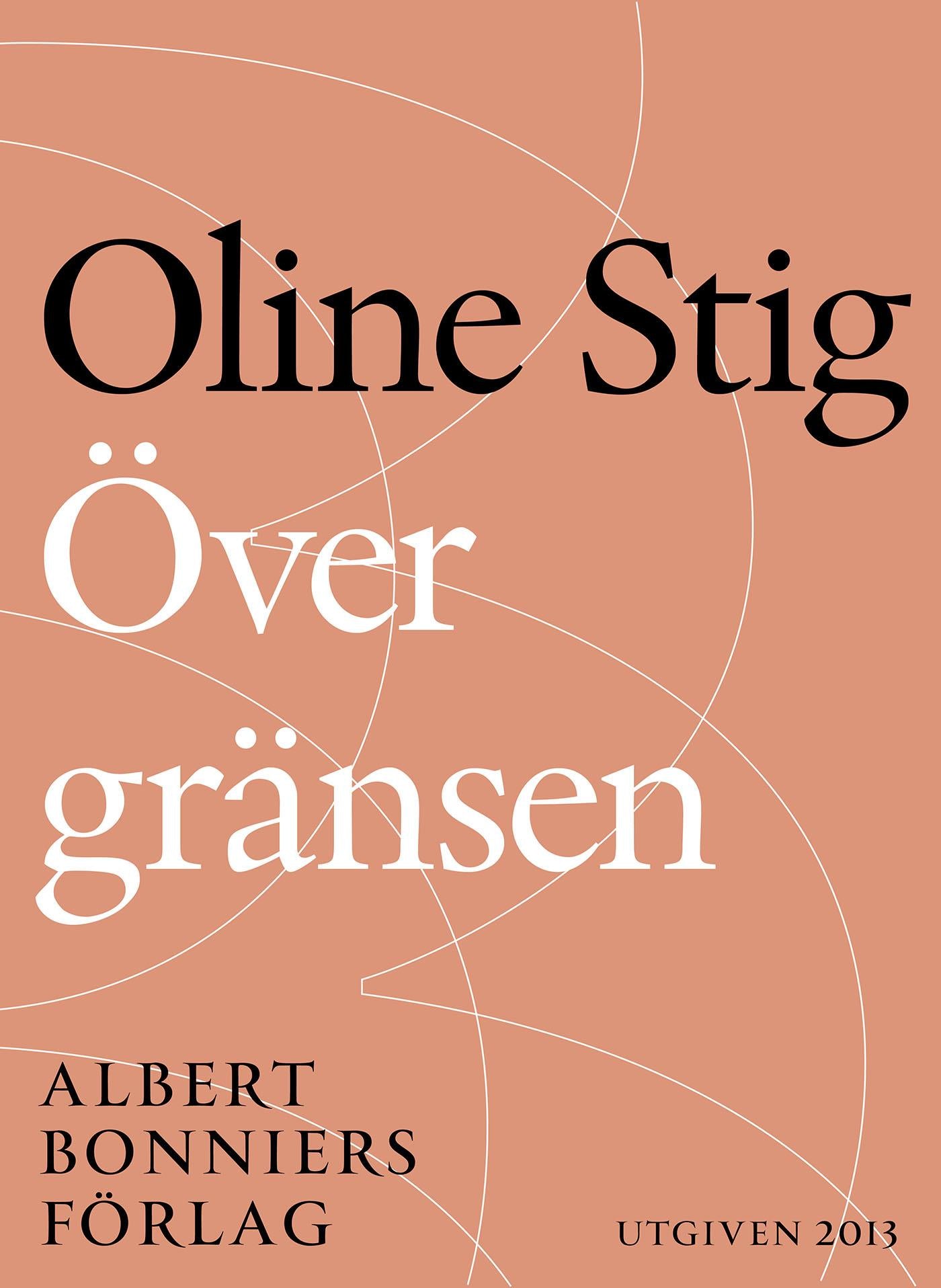 Över gränsen : noveller – E-bok