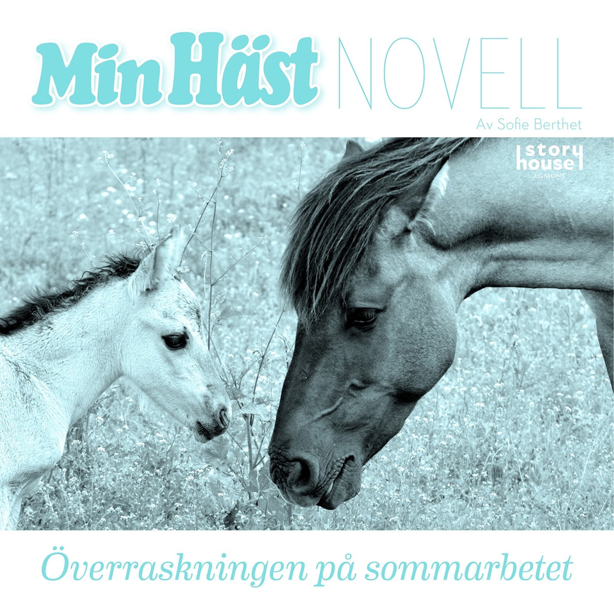 Överraskningen på sommarbetet – Ljudbok