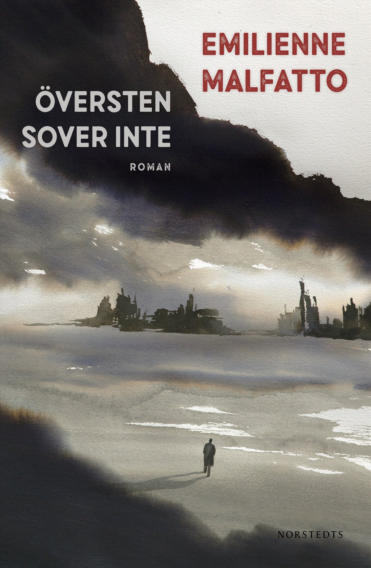 Översten sover inte – E-bok
