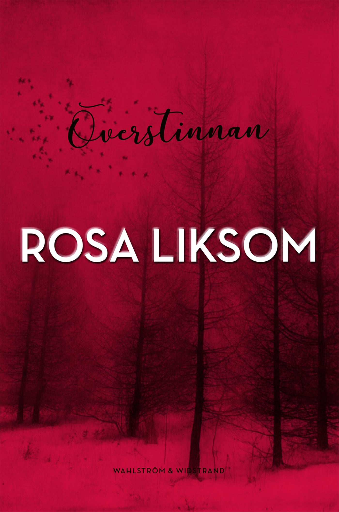 Överstinnan – E-bok