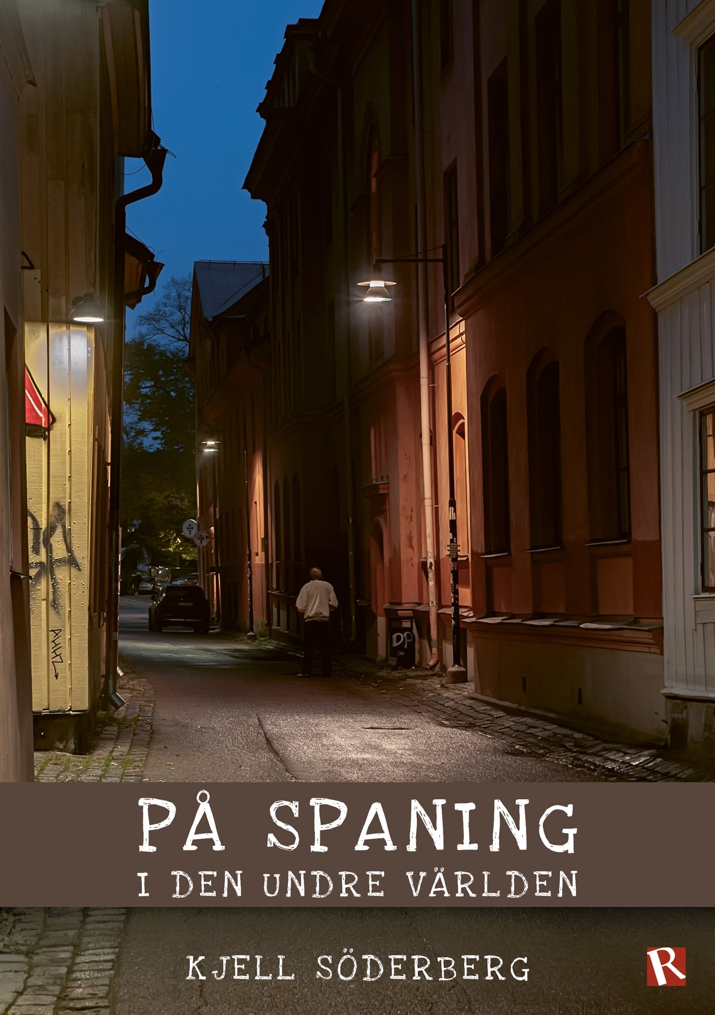 På spaning i den undre världen – E-bok
