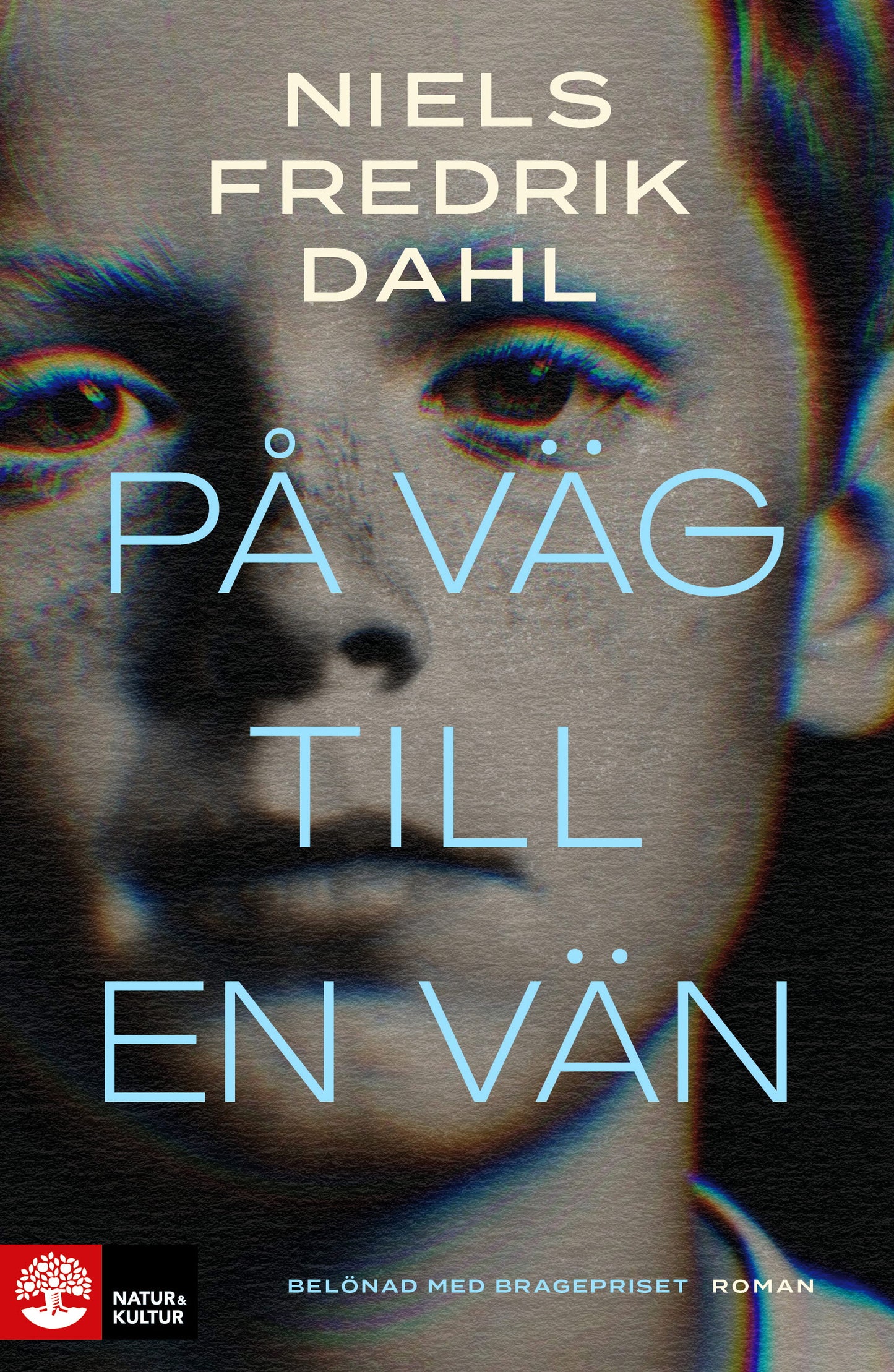 På väg till en vän – E-bok