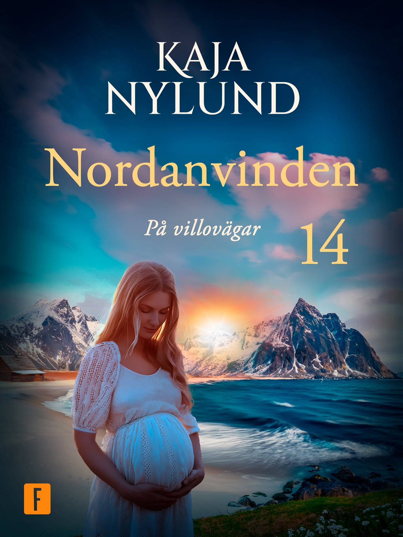 På villovägar – E-bok