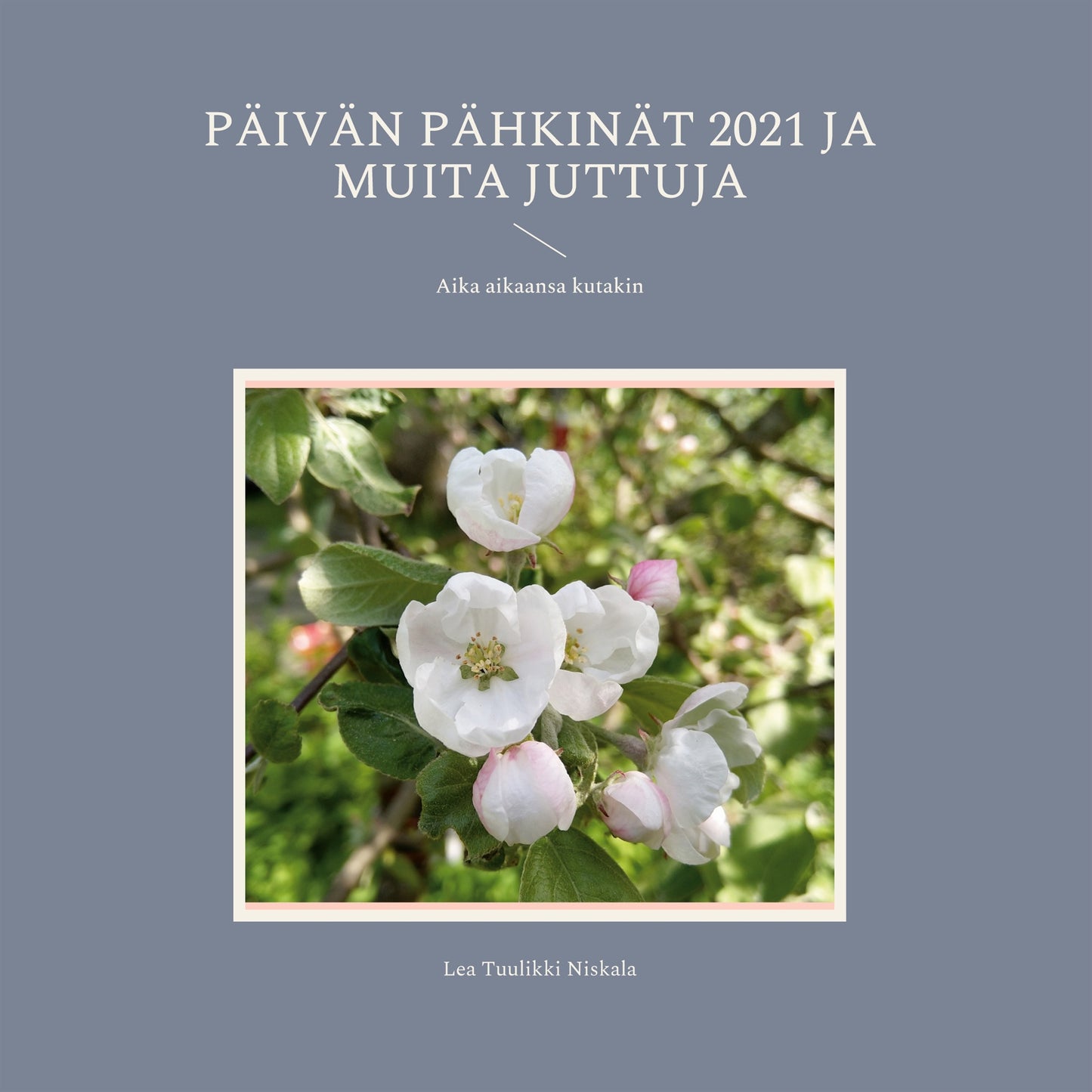 Päivän pähkinät 2021 ja muita juttuja: Aika aikaansa kutakin – E-bok
