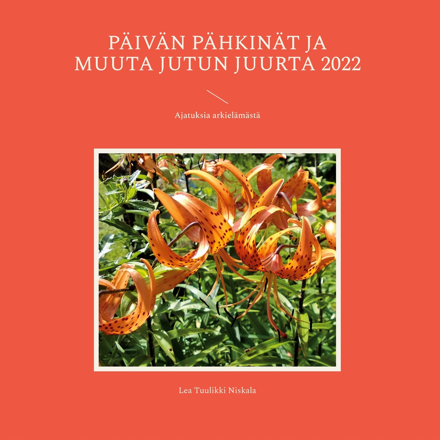 Päivän pähkinät ja muuta jutun juurta 2022: Ajatuksia arkielämästä – E-bok