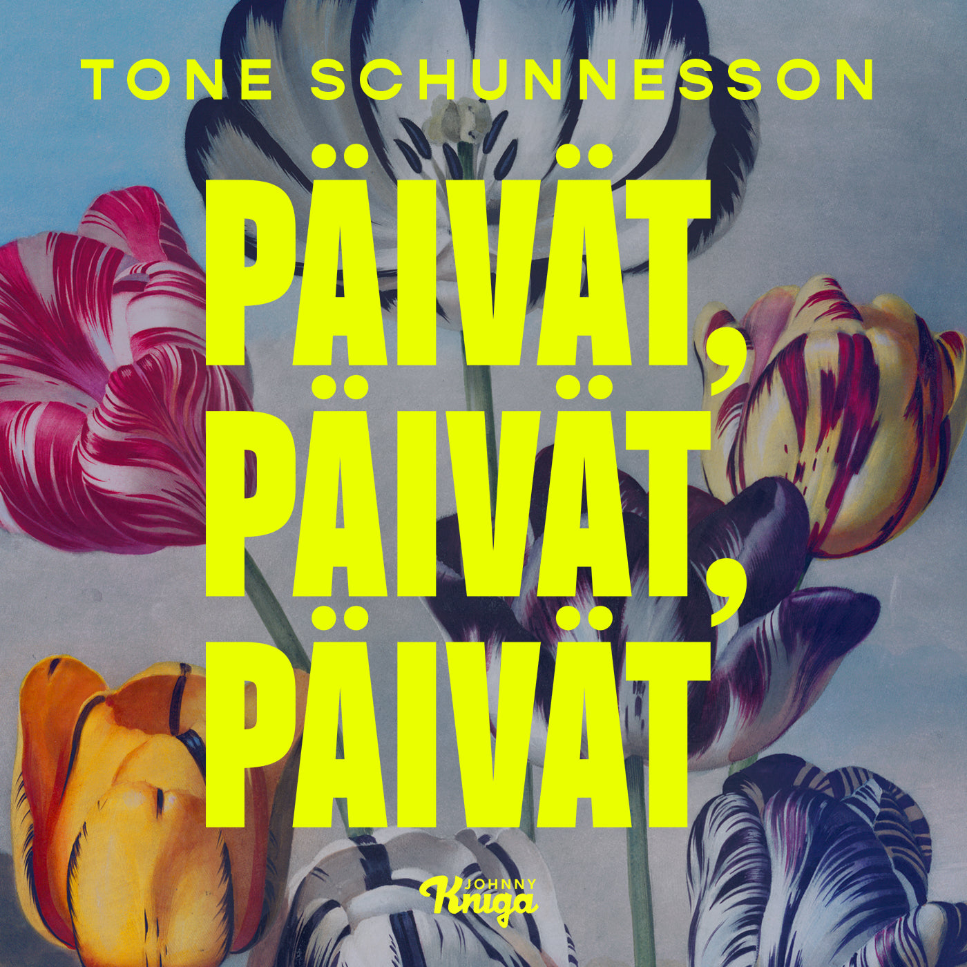 Päivät, päivät, päivät – Ljudbok