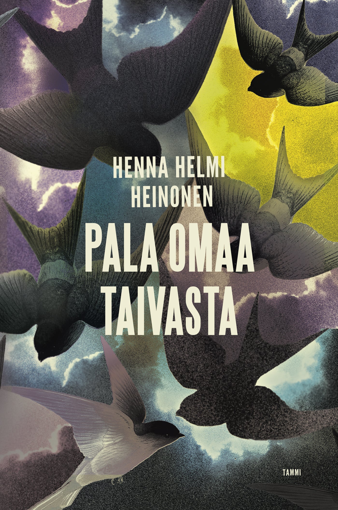 Pala omaa taivasta – E-bok