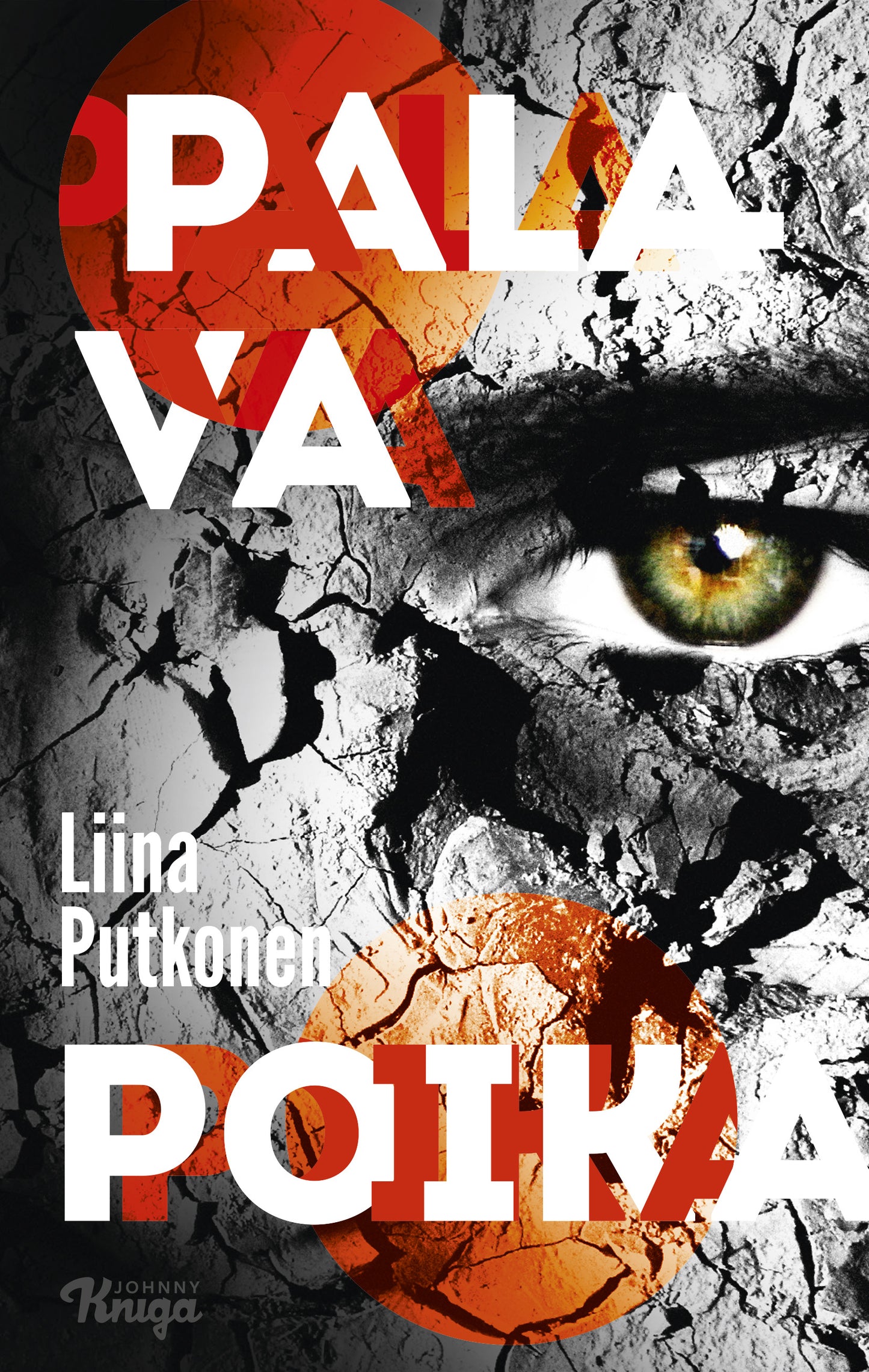 Palava poika – E-bok