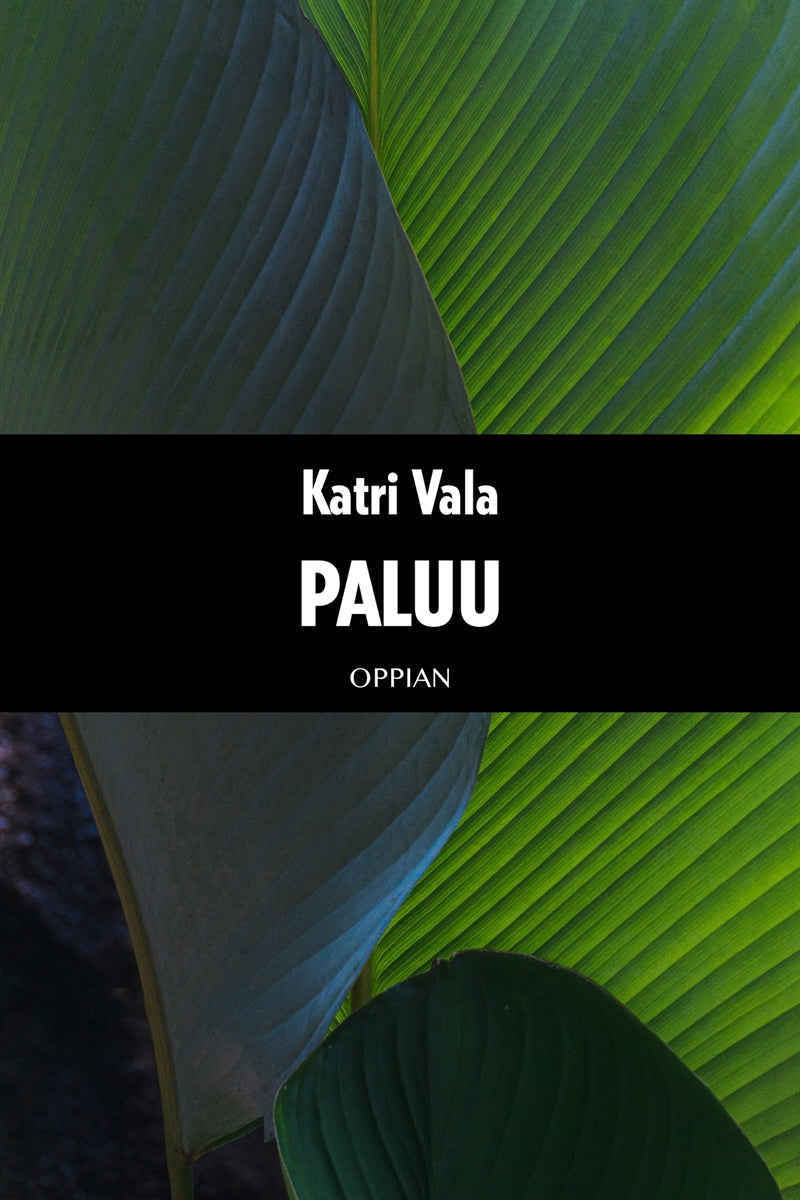 Paluu – E-bok