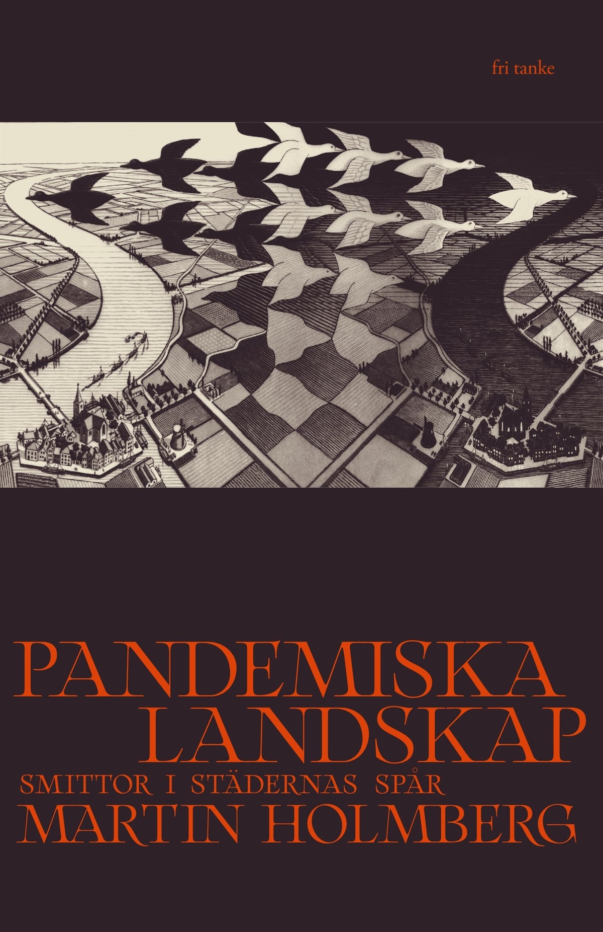 Pandemiska landskap: Smittor i städernas spår – E-bok
