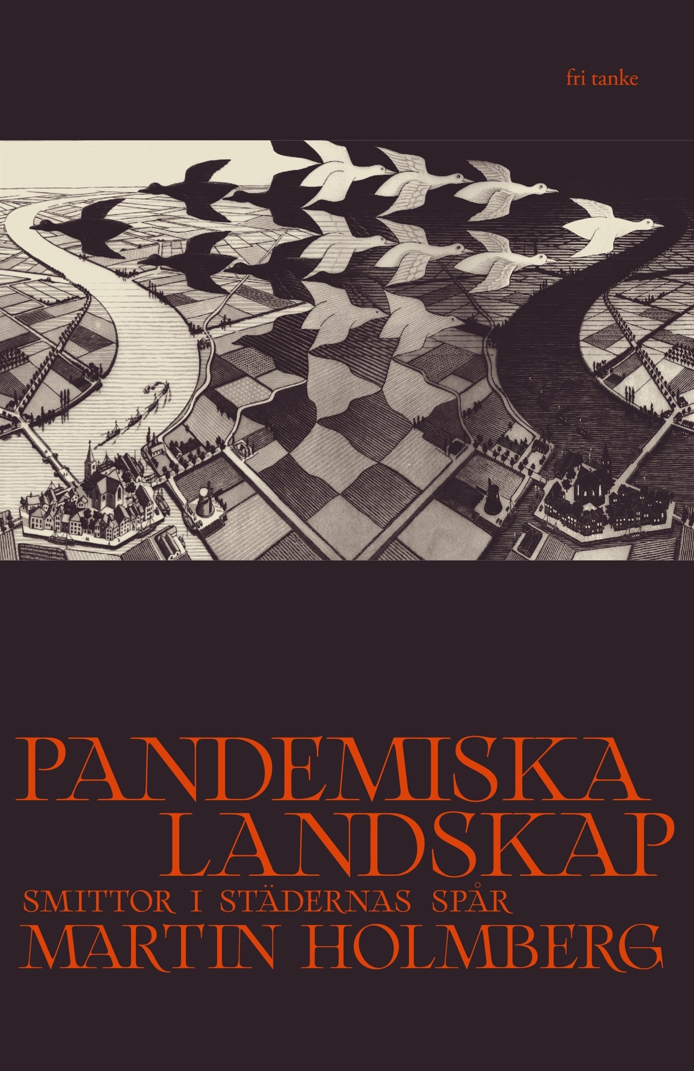 Pandemiska landskap: Smittor i städernas spår – E-bok