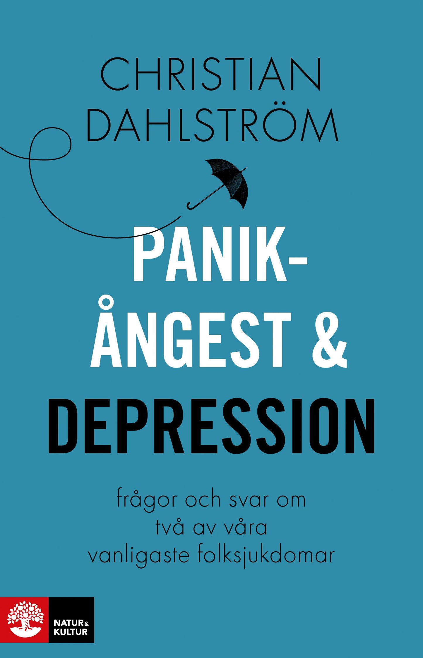 Panikångest och depression : frågor och svar om våra vanligaste folksjukdomar – E-bok