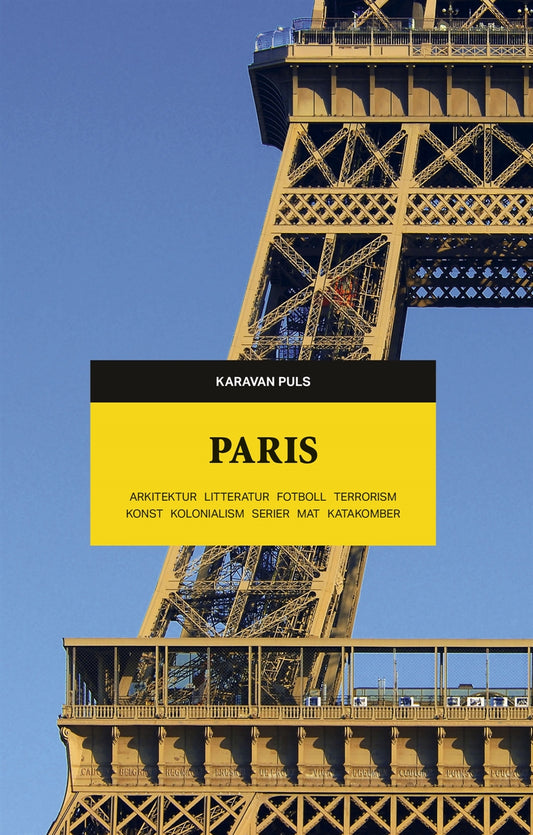 Paris. Arkitektur, litteratur, fotboll, terrorism, konst, kolonialism, serier, mat, katakomber – E-bok