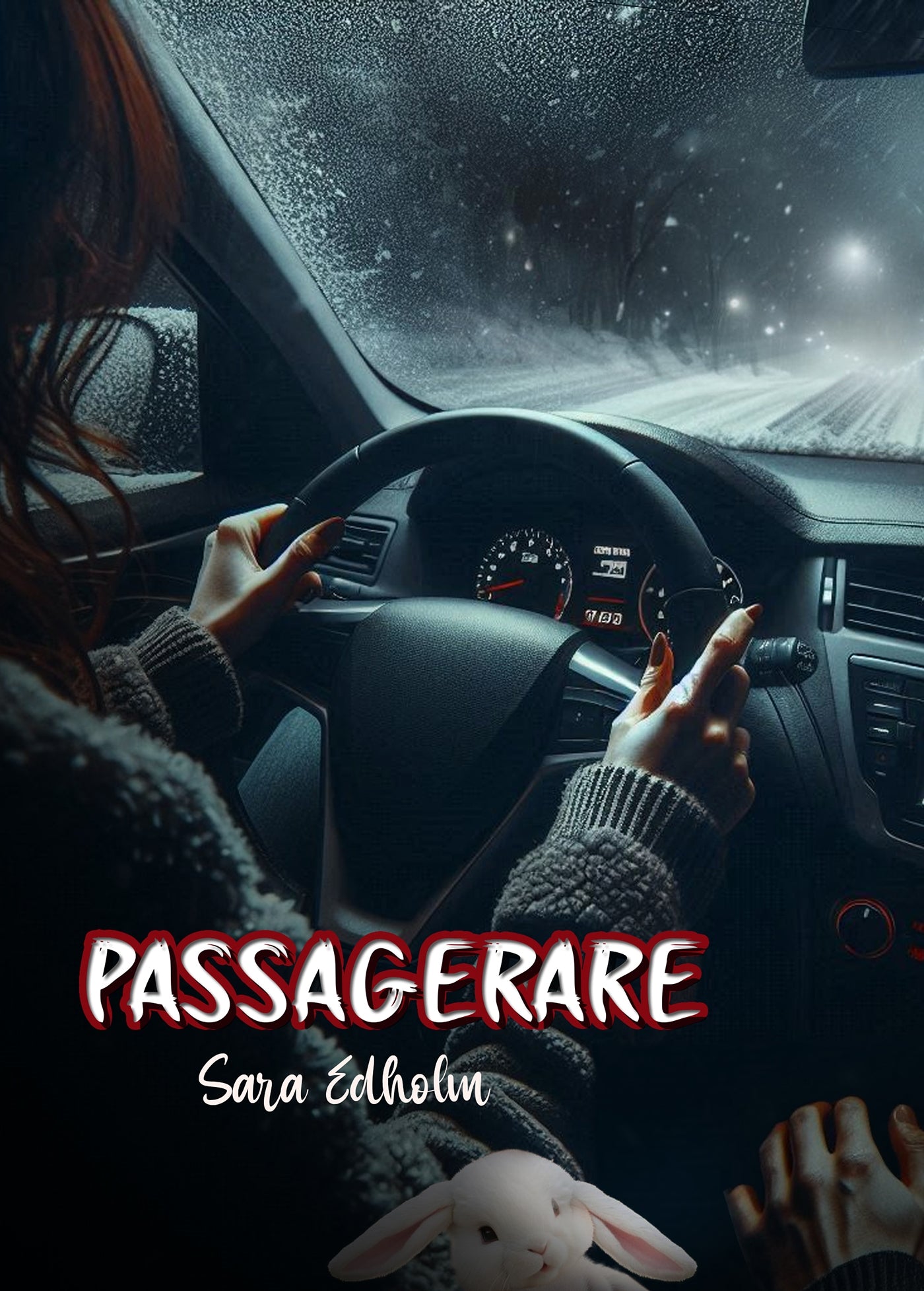 Passagerare – E-bok