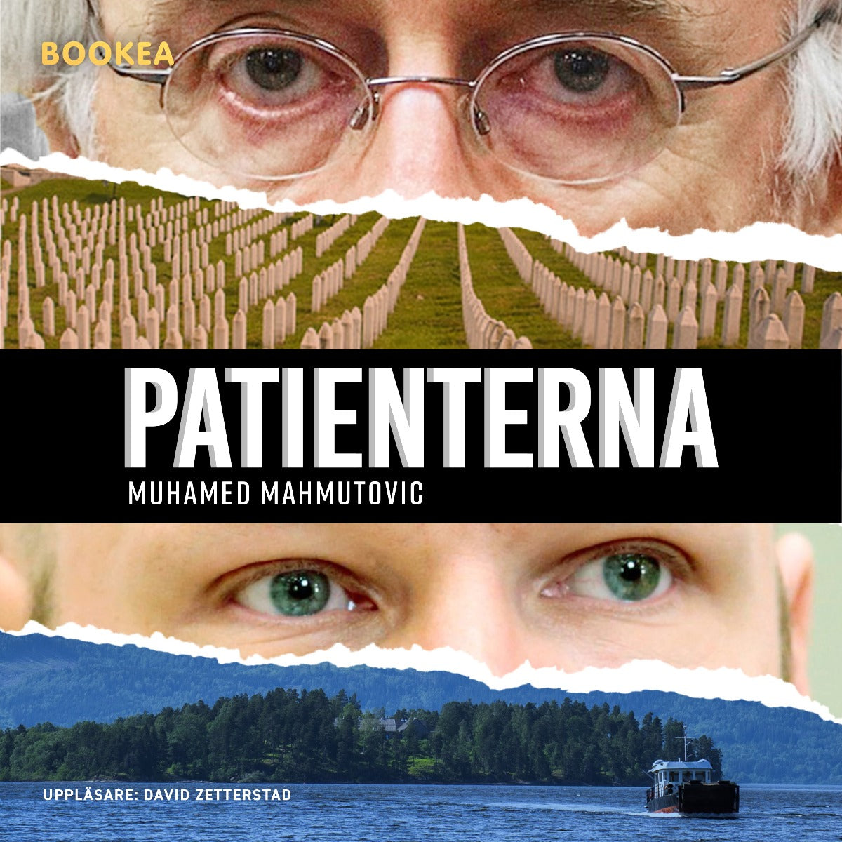 Patienterna – Ljudbok