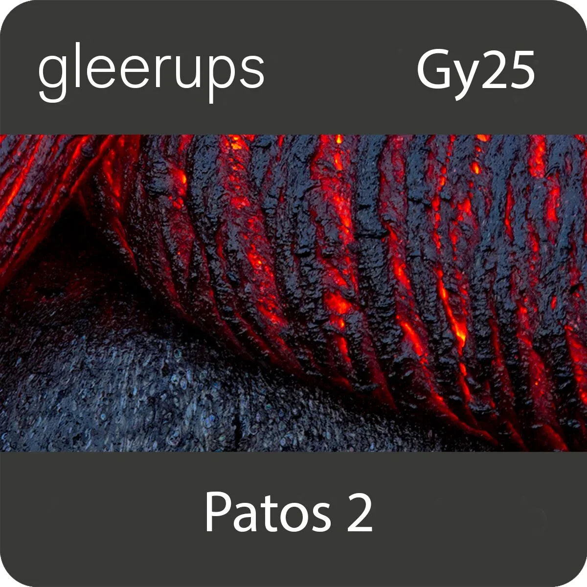 Patos svenska 2, digitalt läromedel, lärare, 12 mån, Gy25 (OBS! Endast för lärare)