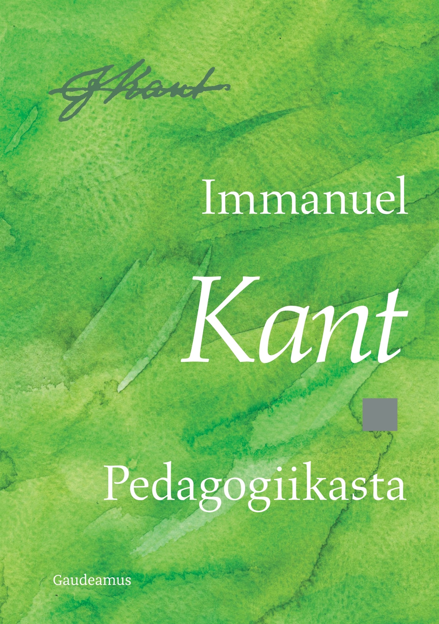 Pedagogiikasta – E-bok
