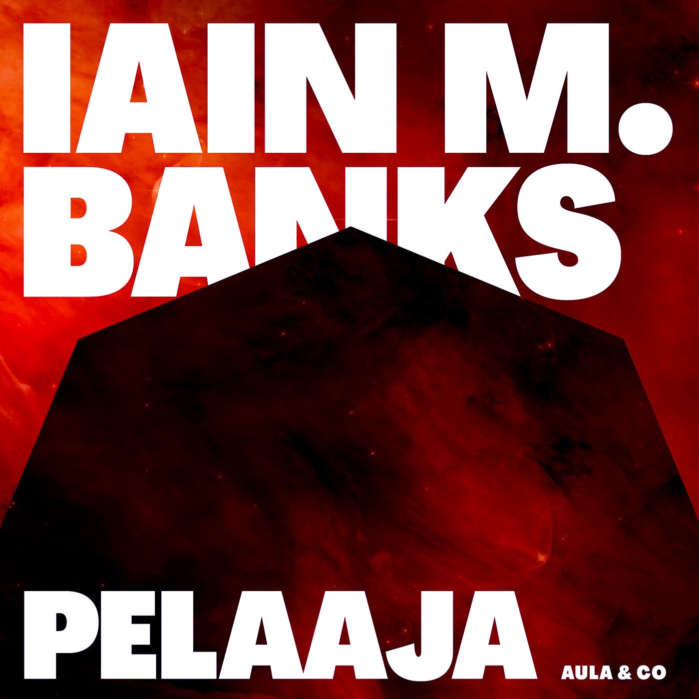 Pelaaja – Ljudbok