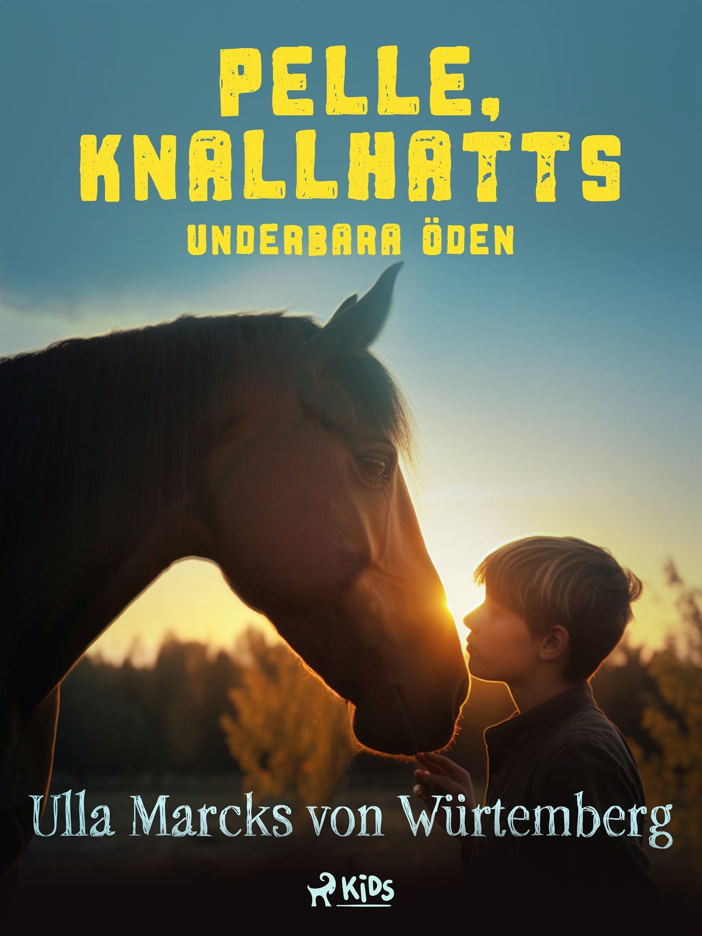 Pelle Knallhatts underbara öden – E-bok