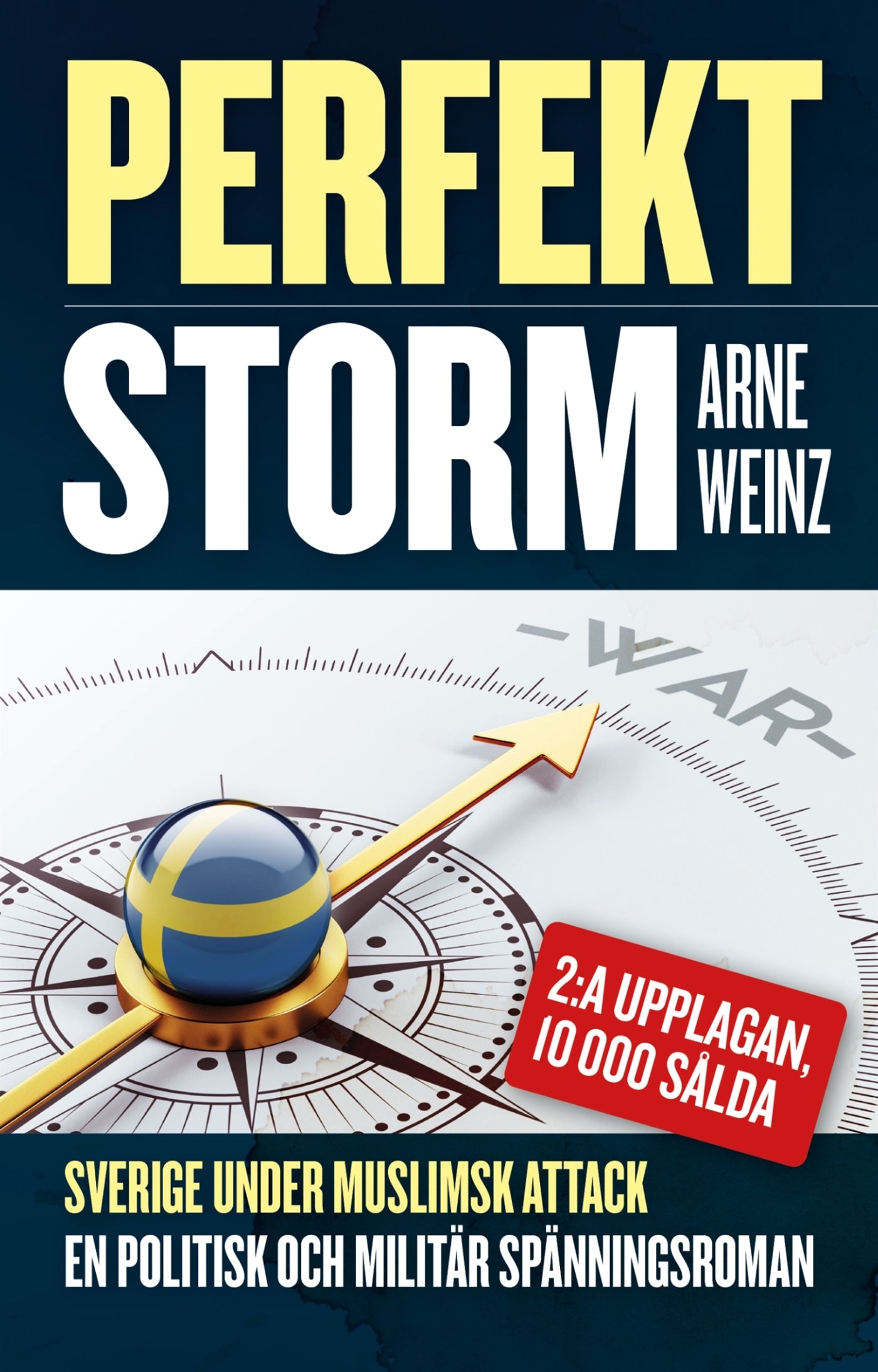 Perfekt storm – E-bok