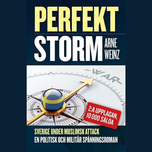 Perfekt storm – Ljudbok
