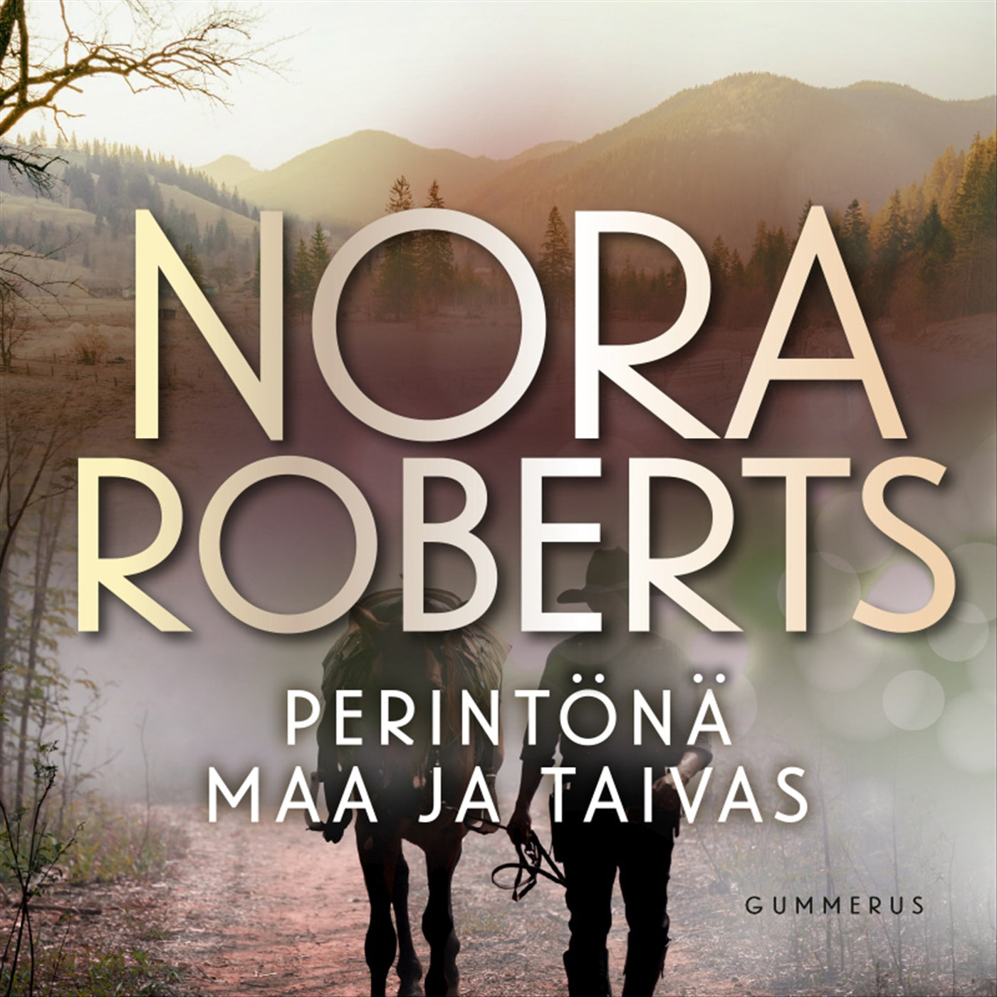 Perintönä maa ja taivas – Ljudbok