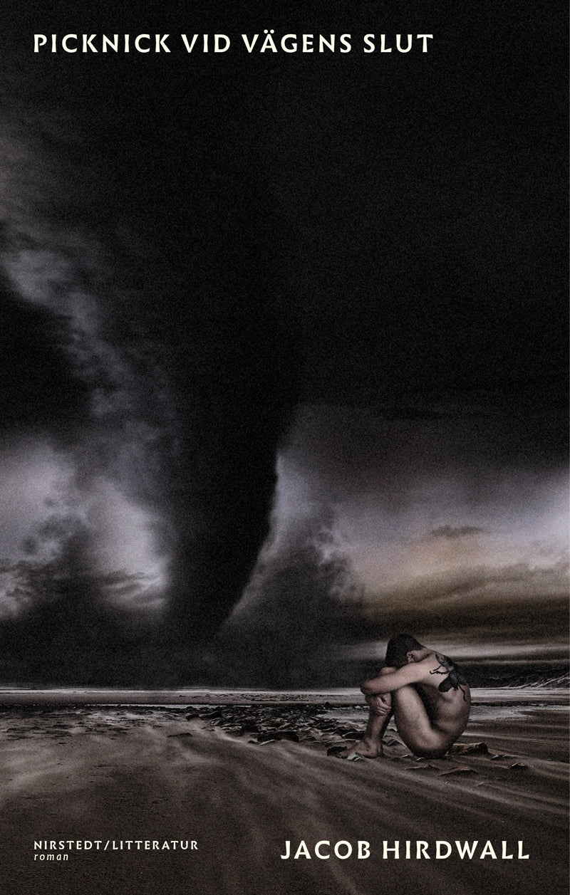 Picknick vid vägens slut – E-bok