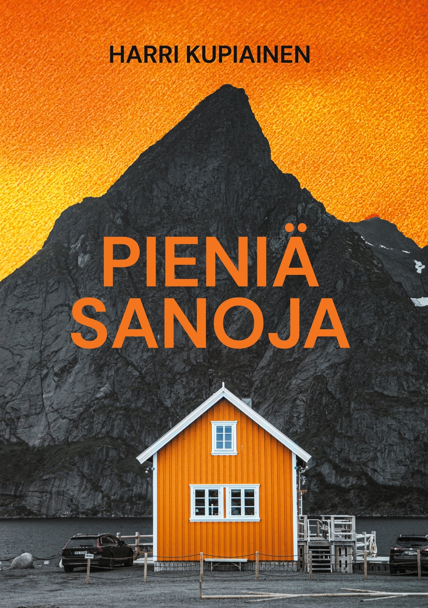 Pieniä sanoja – E-bok